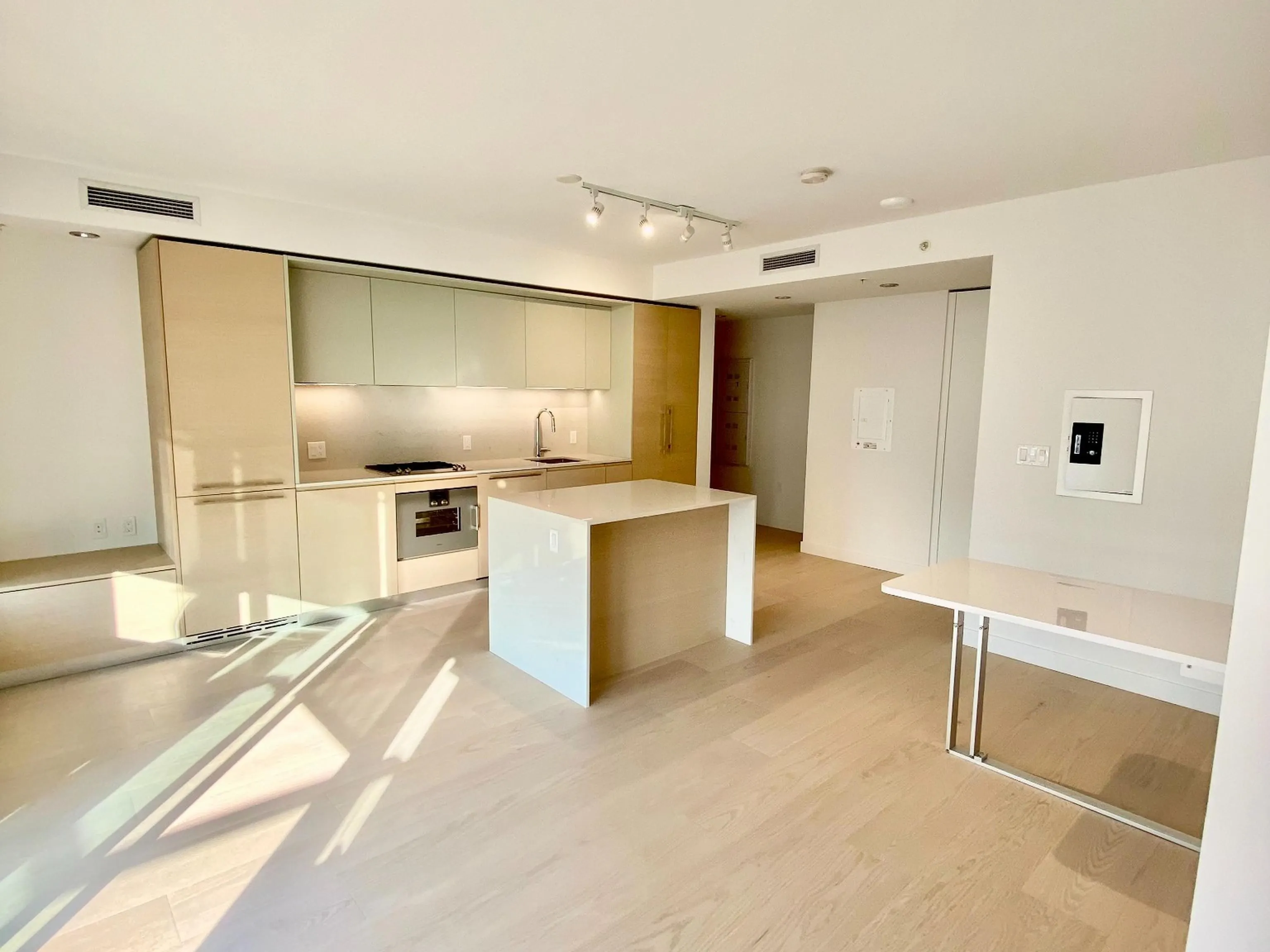 1289 Hornby Street #3101