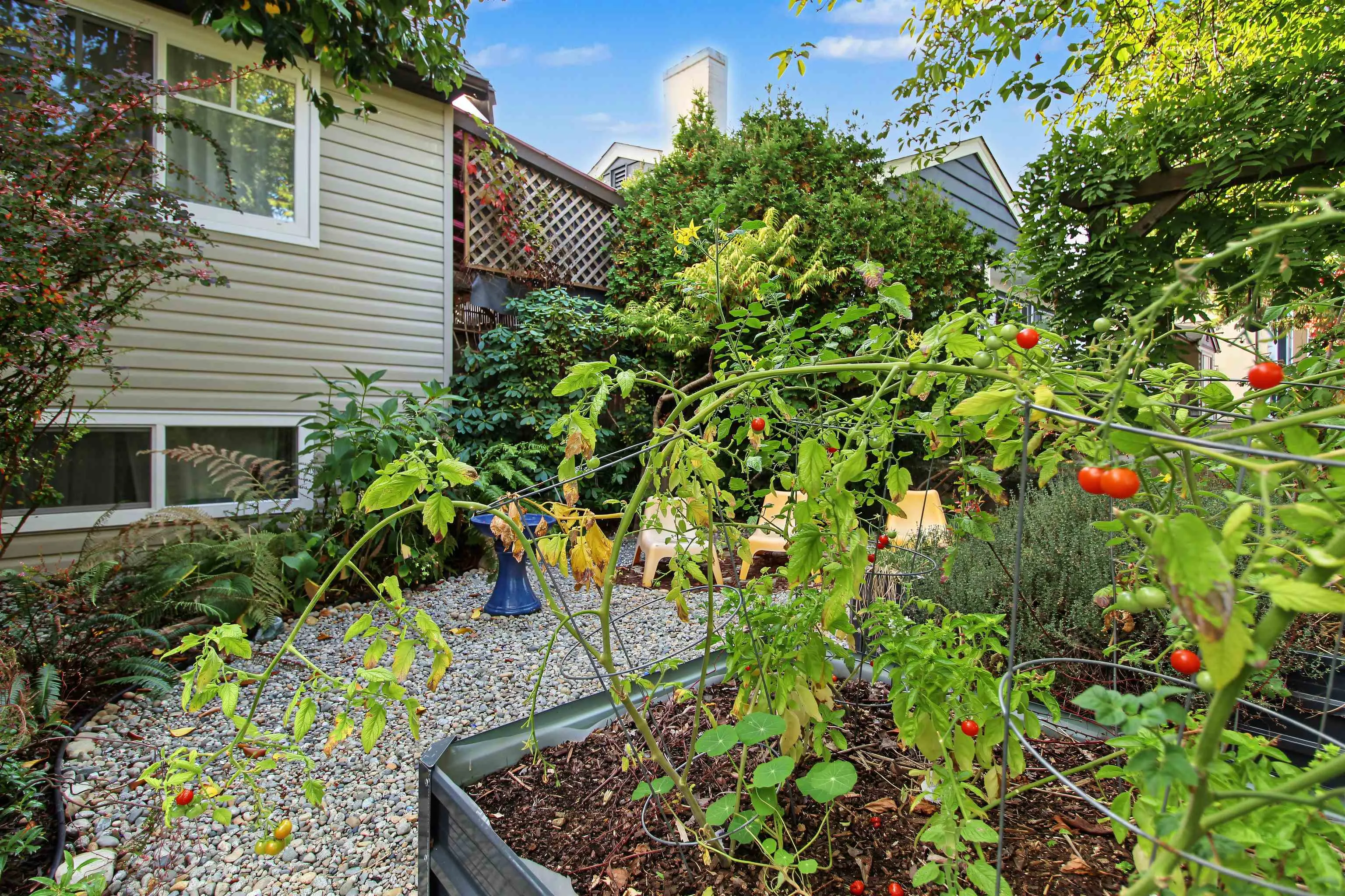 920 Chilliwack Street
