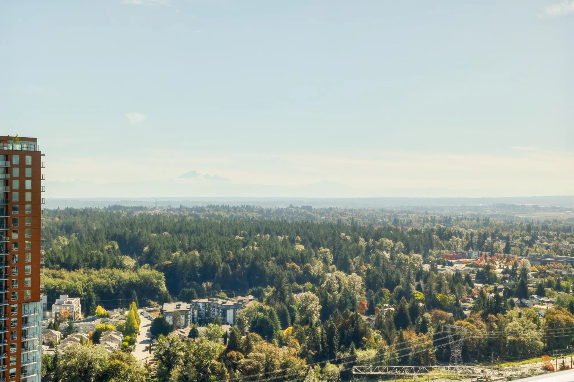 13615 Fraser Highway #3908