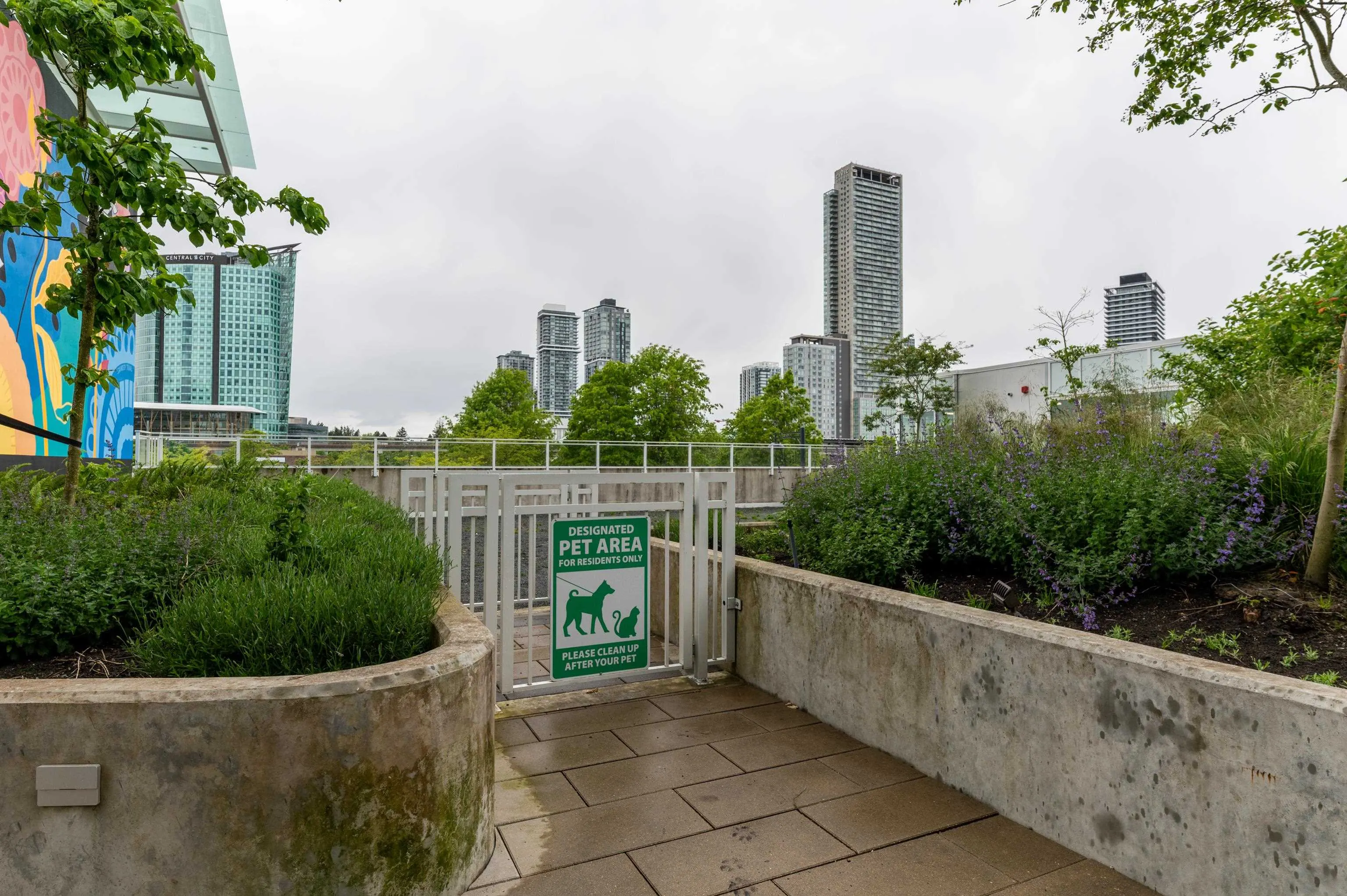 13685 102 Avenue #1102