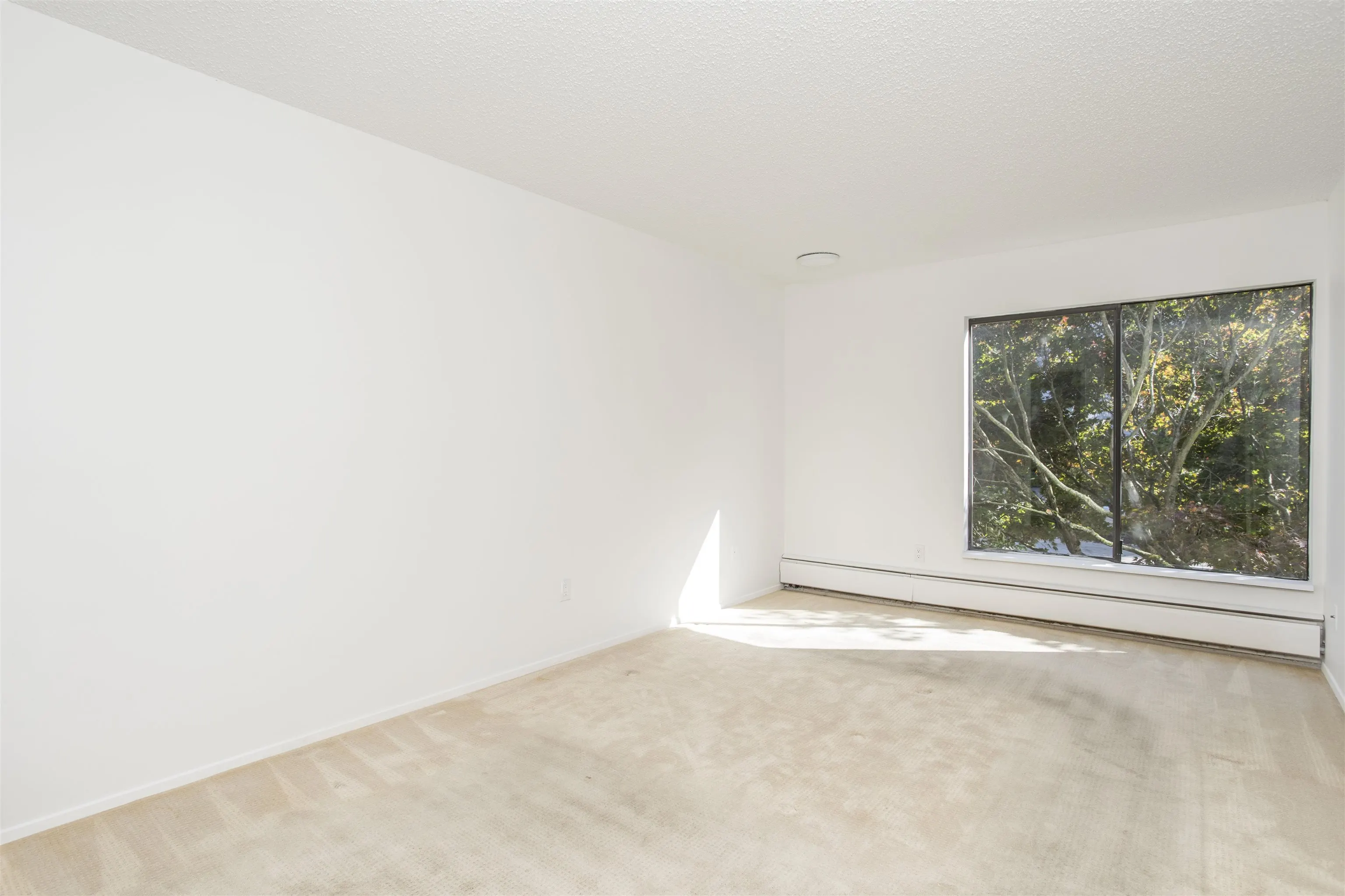 1437 Foster Street #310
