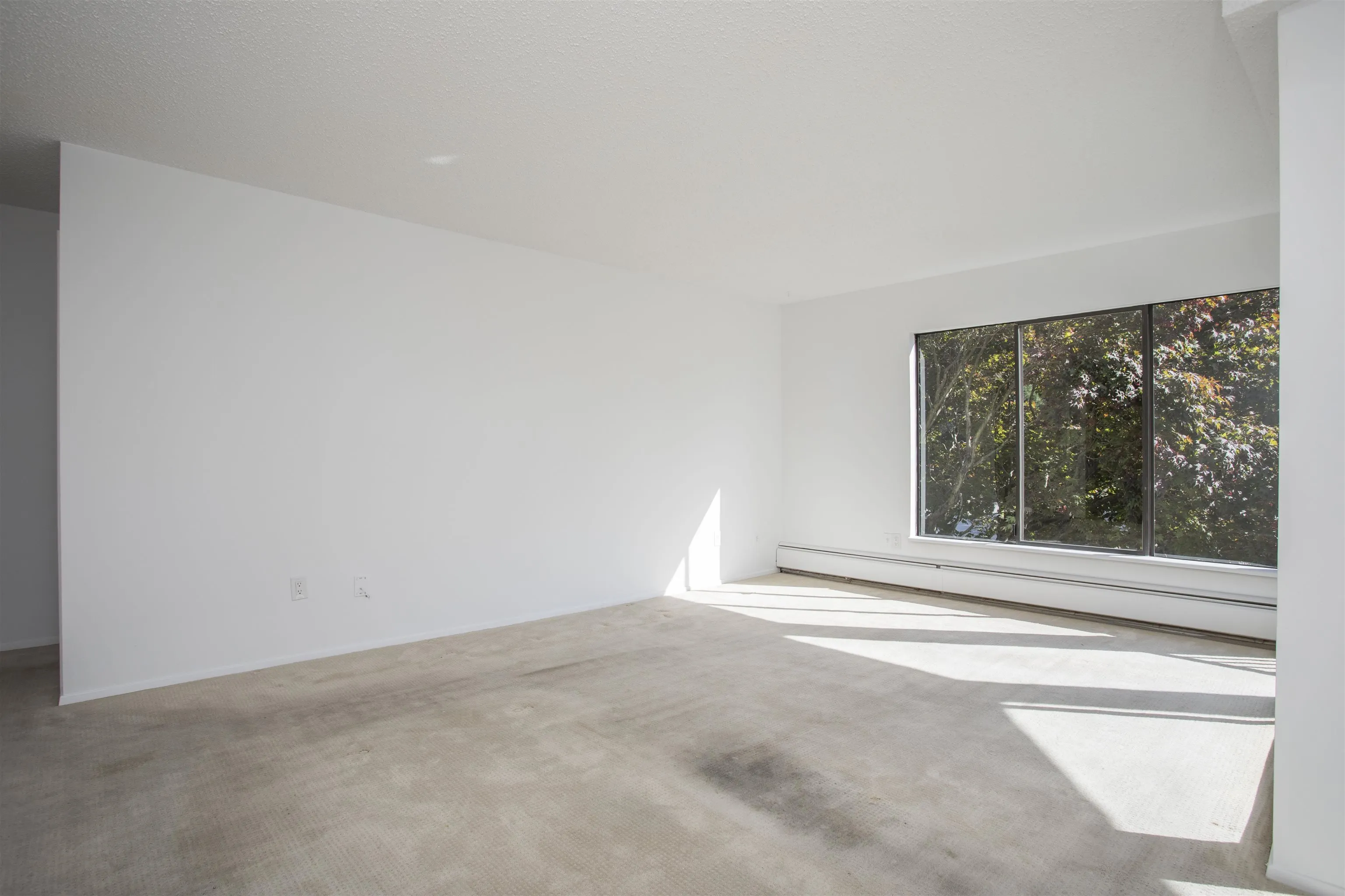 1437 Foster Street #310