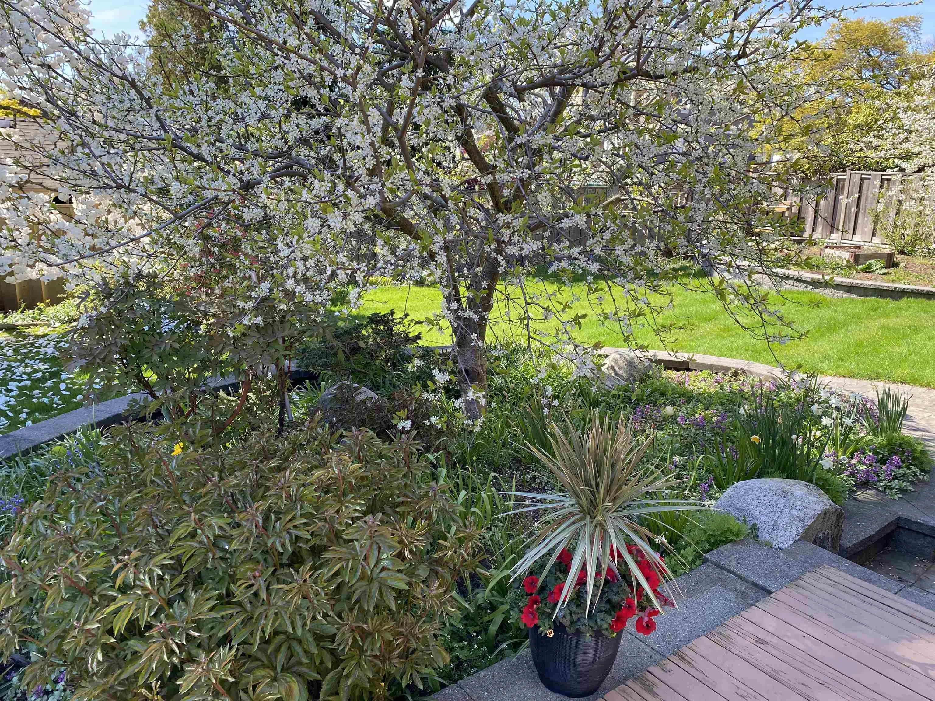 5508 Cedardale Court