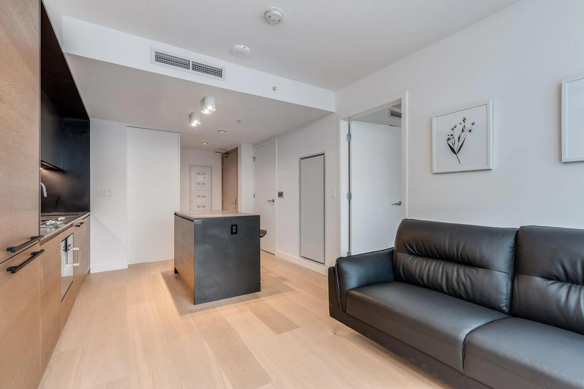 1289 Hornby Street #1002