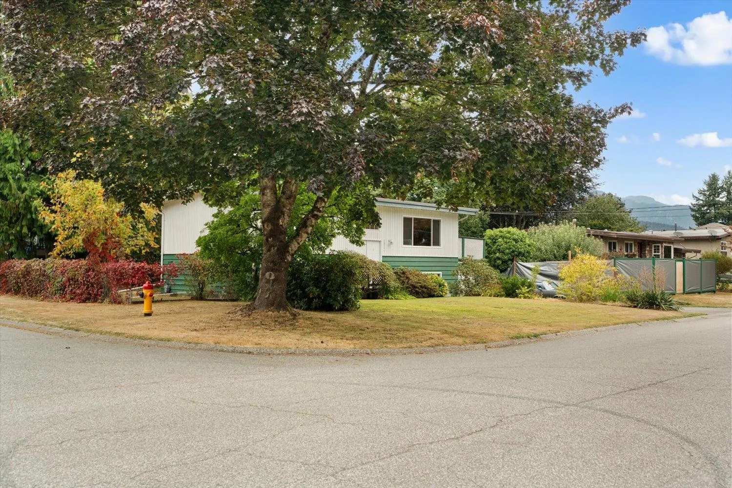 10151 Wedgewood Drive