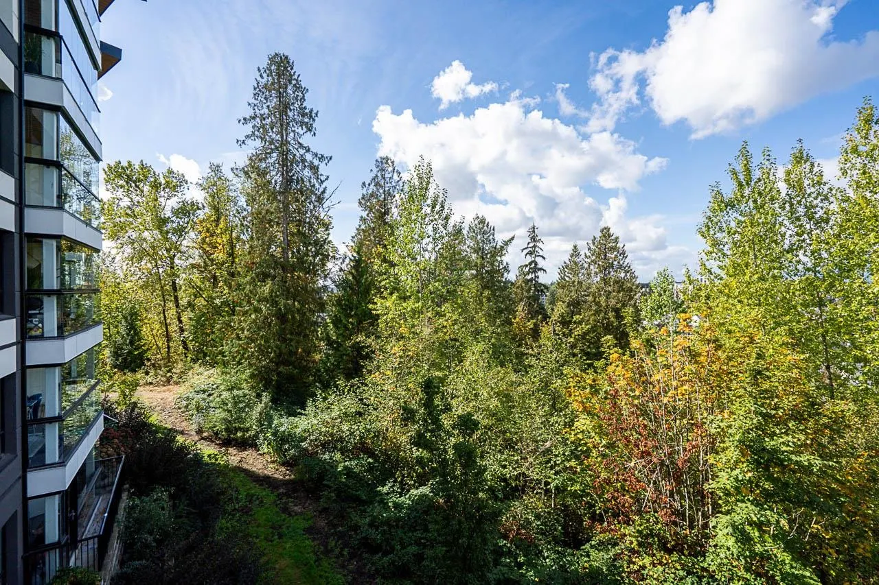 11641 227 Street #315