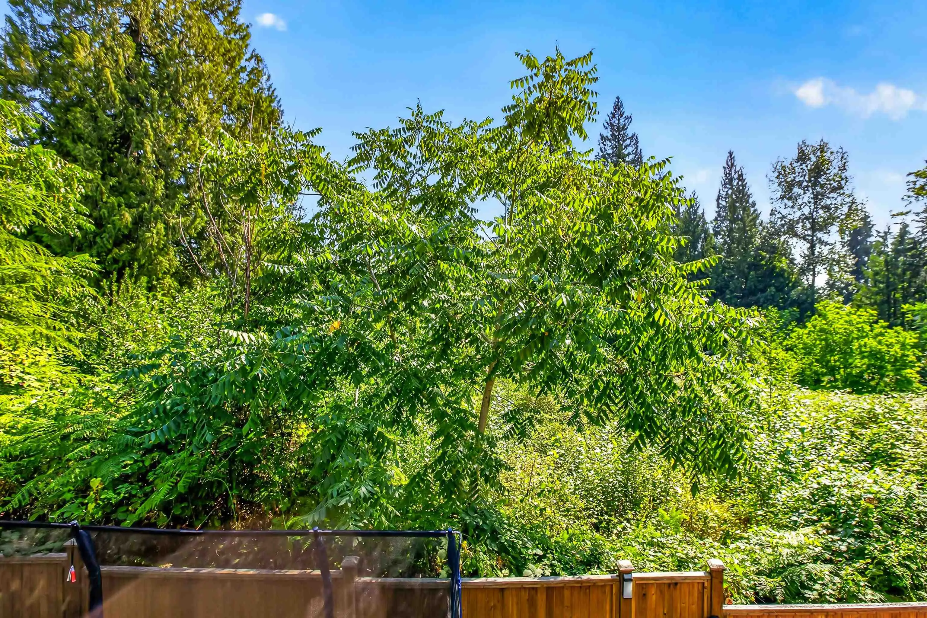 13263 236 Street #10