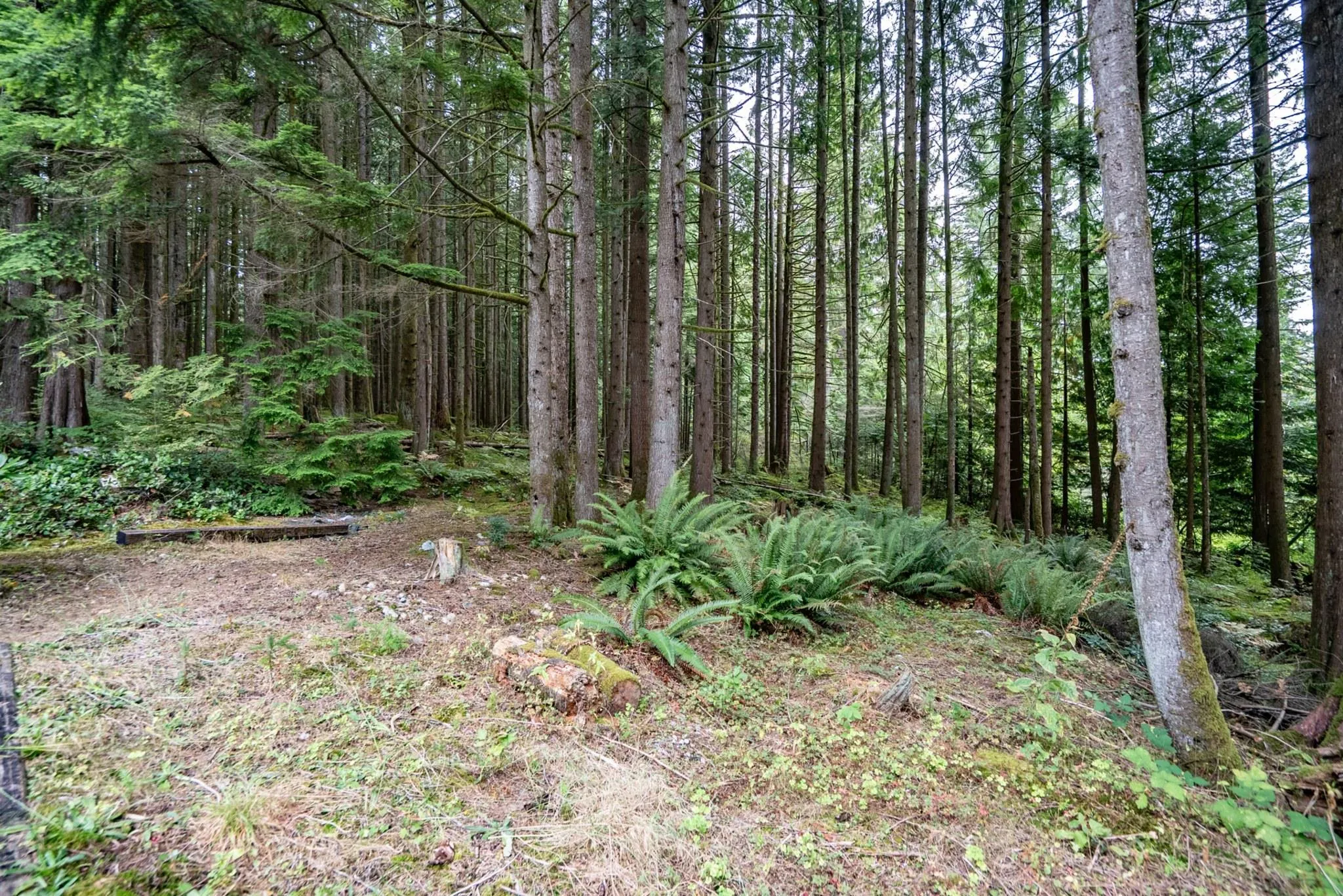 27573 Sayers Crescent