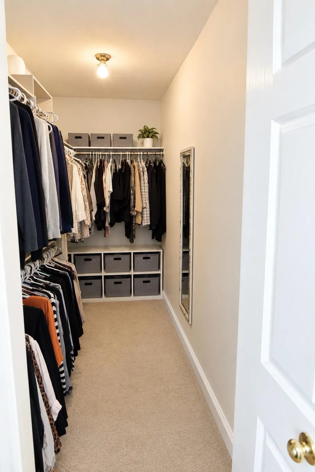 6245 Sheridan Road #81