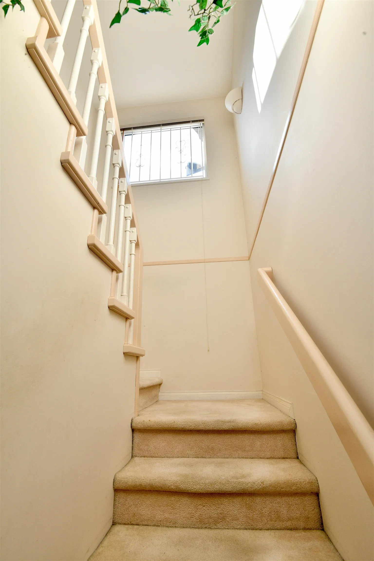 6245 Sheridan Road #81