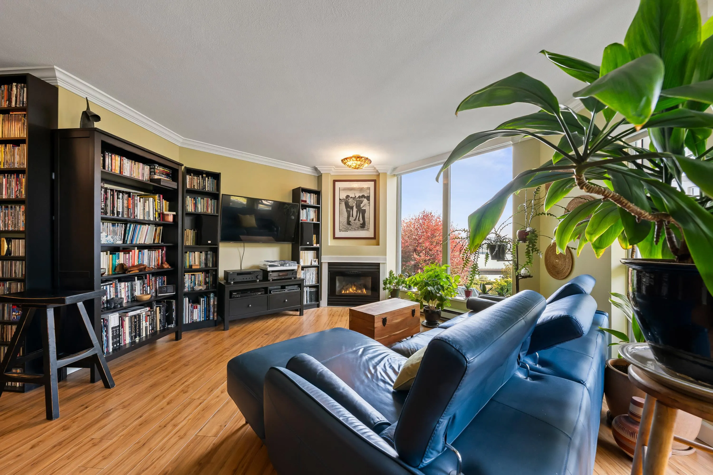 71 Jamieson Court #506