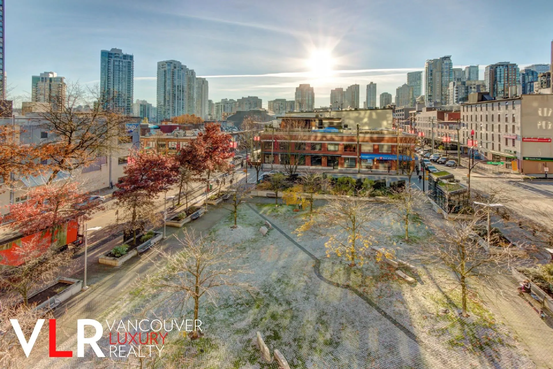 977 Mainland Street #509