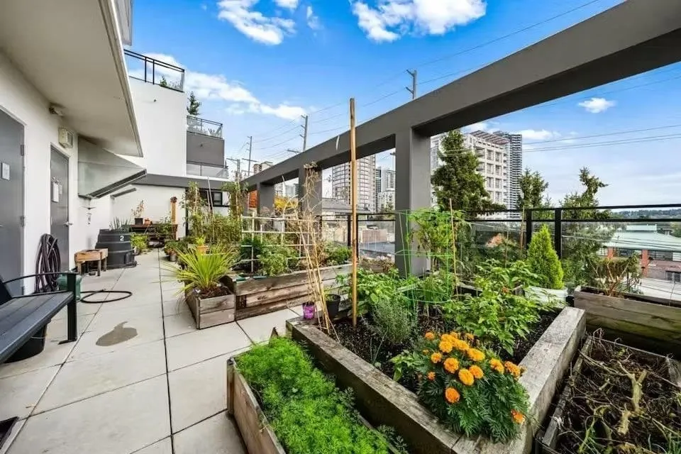 1012 Auckland Street #206
