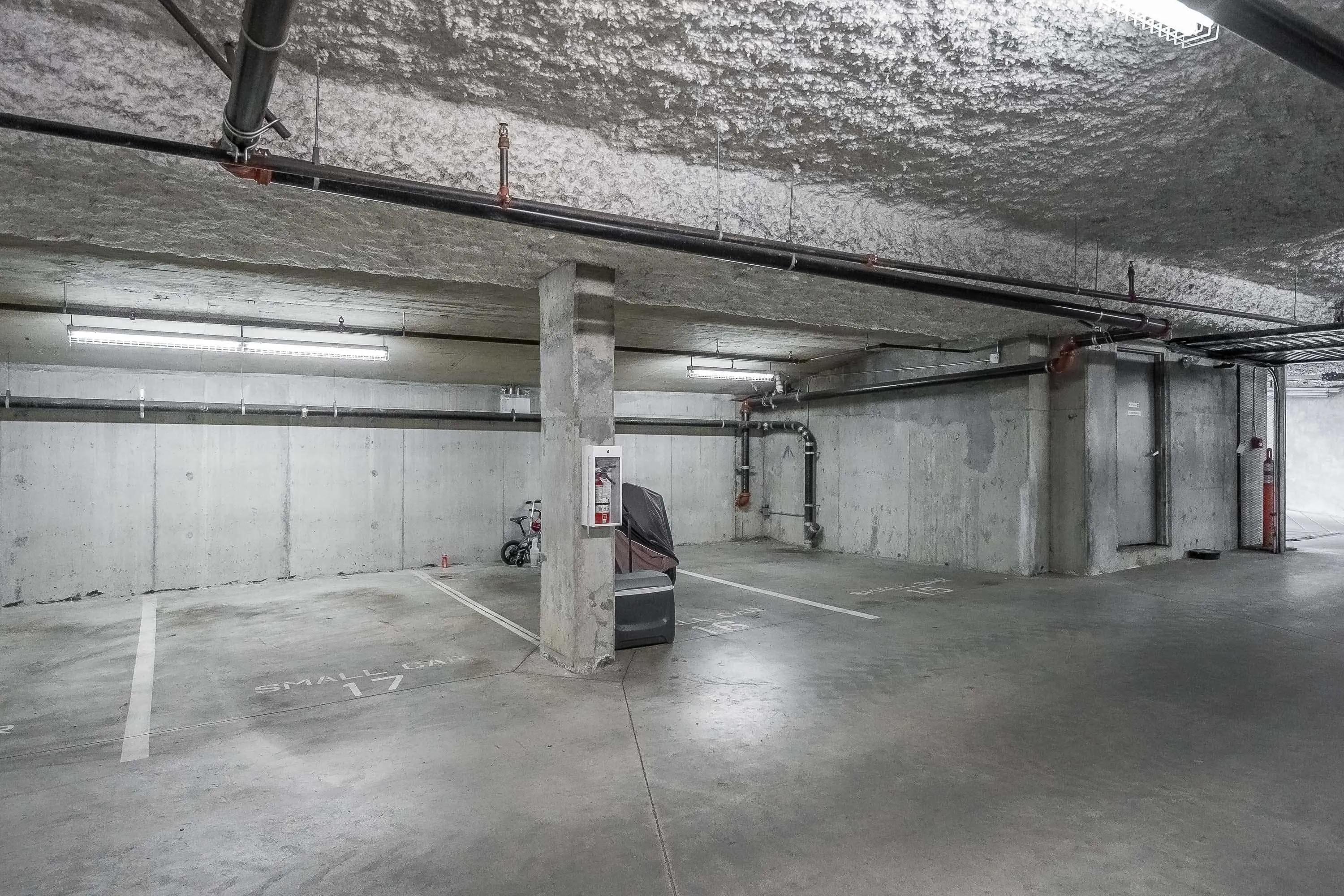 11566 224 Street #101