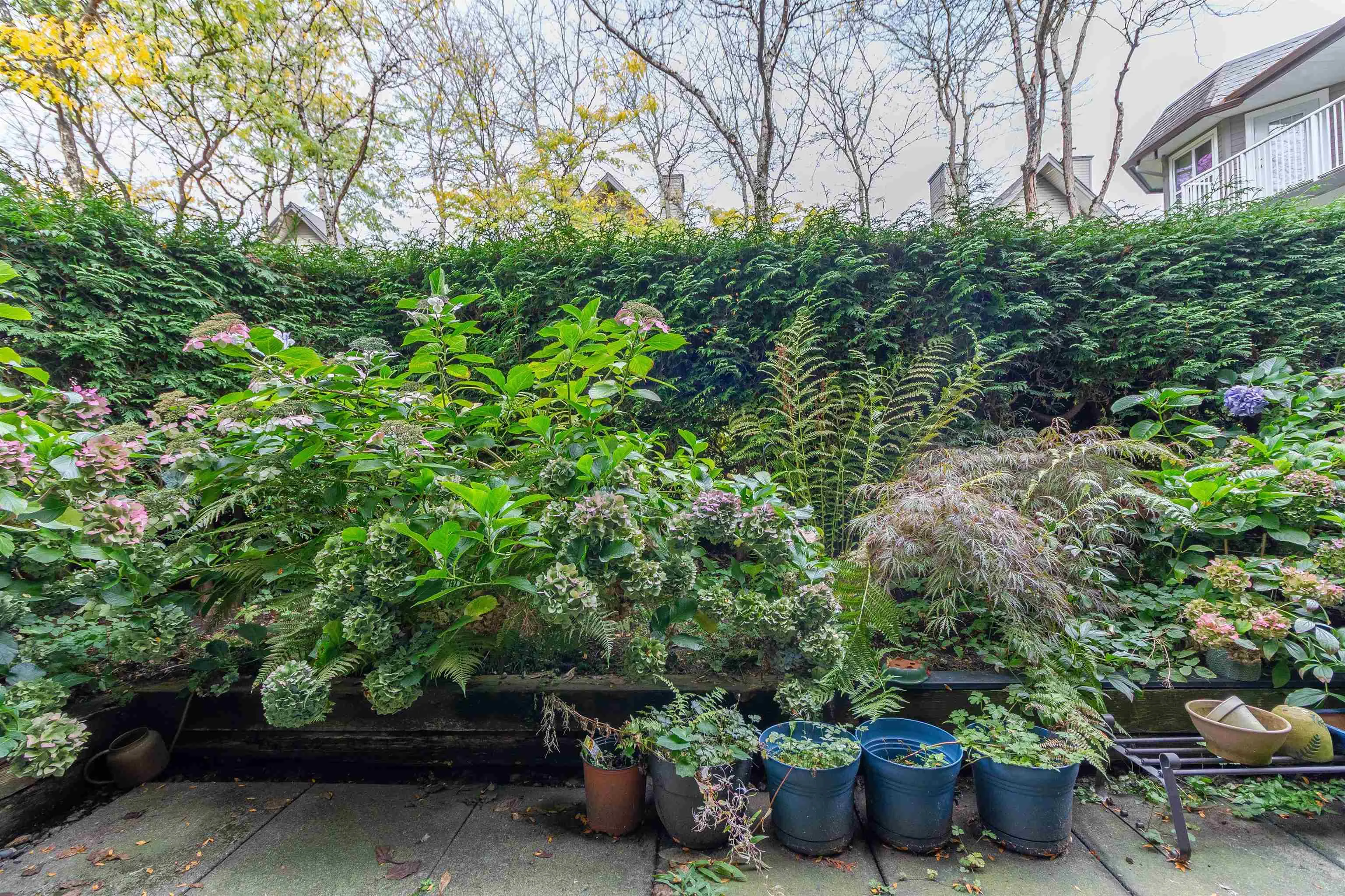 15120 108 Avenue #109