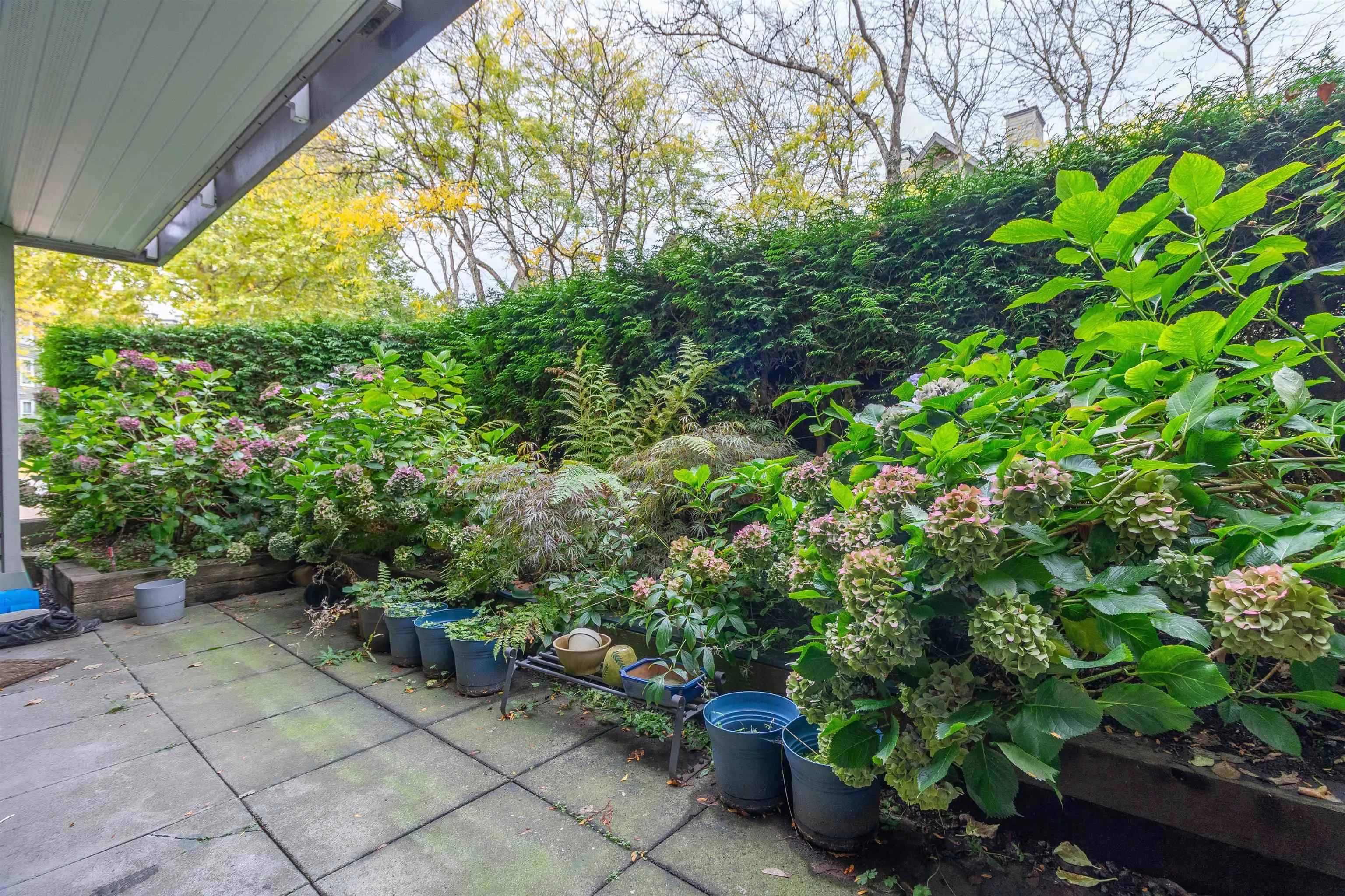 15120 108 Avenue #109