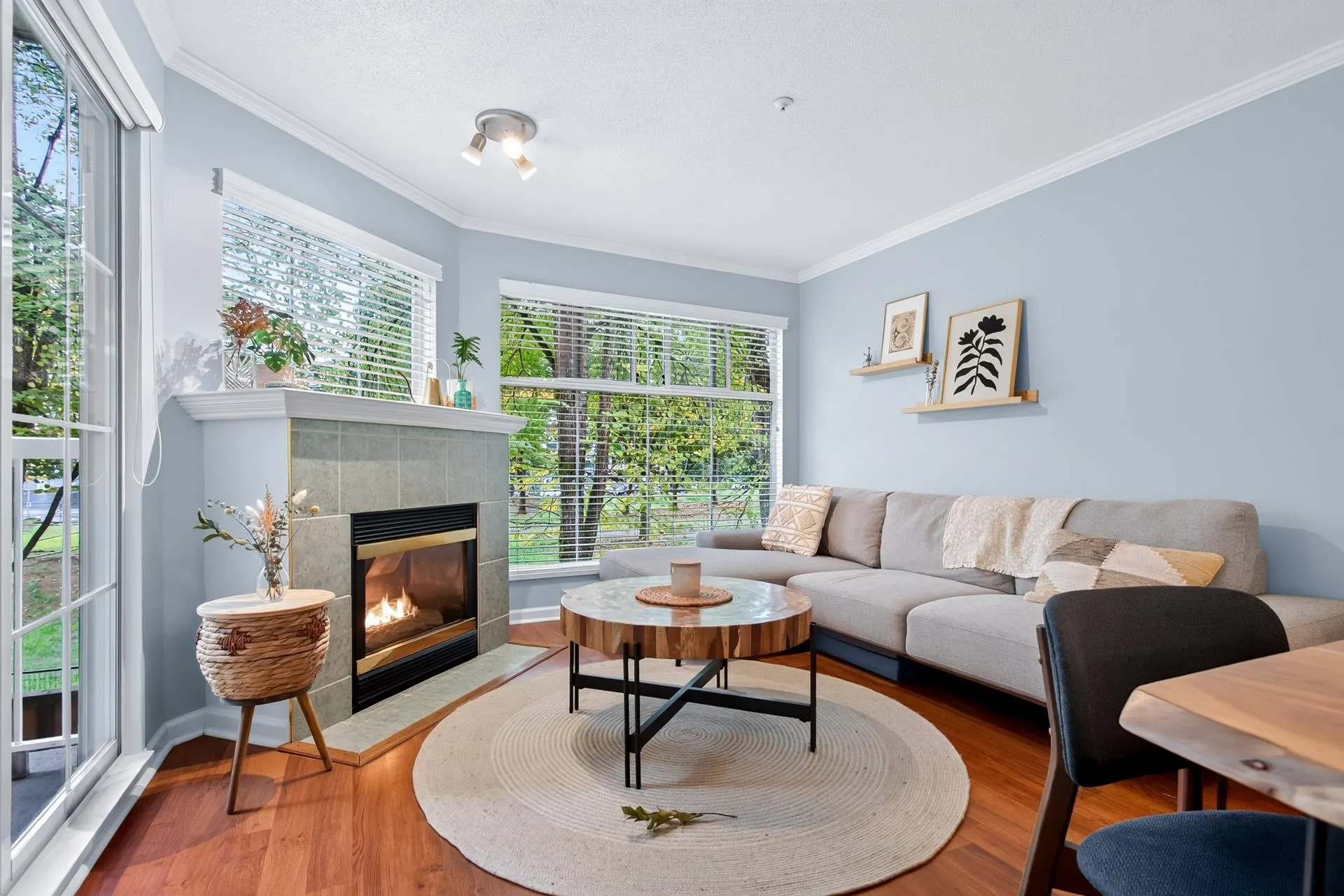 2678 Dixon Street #213