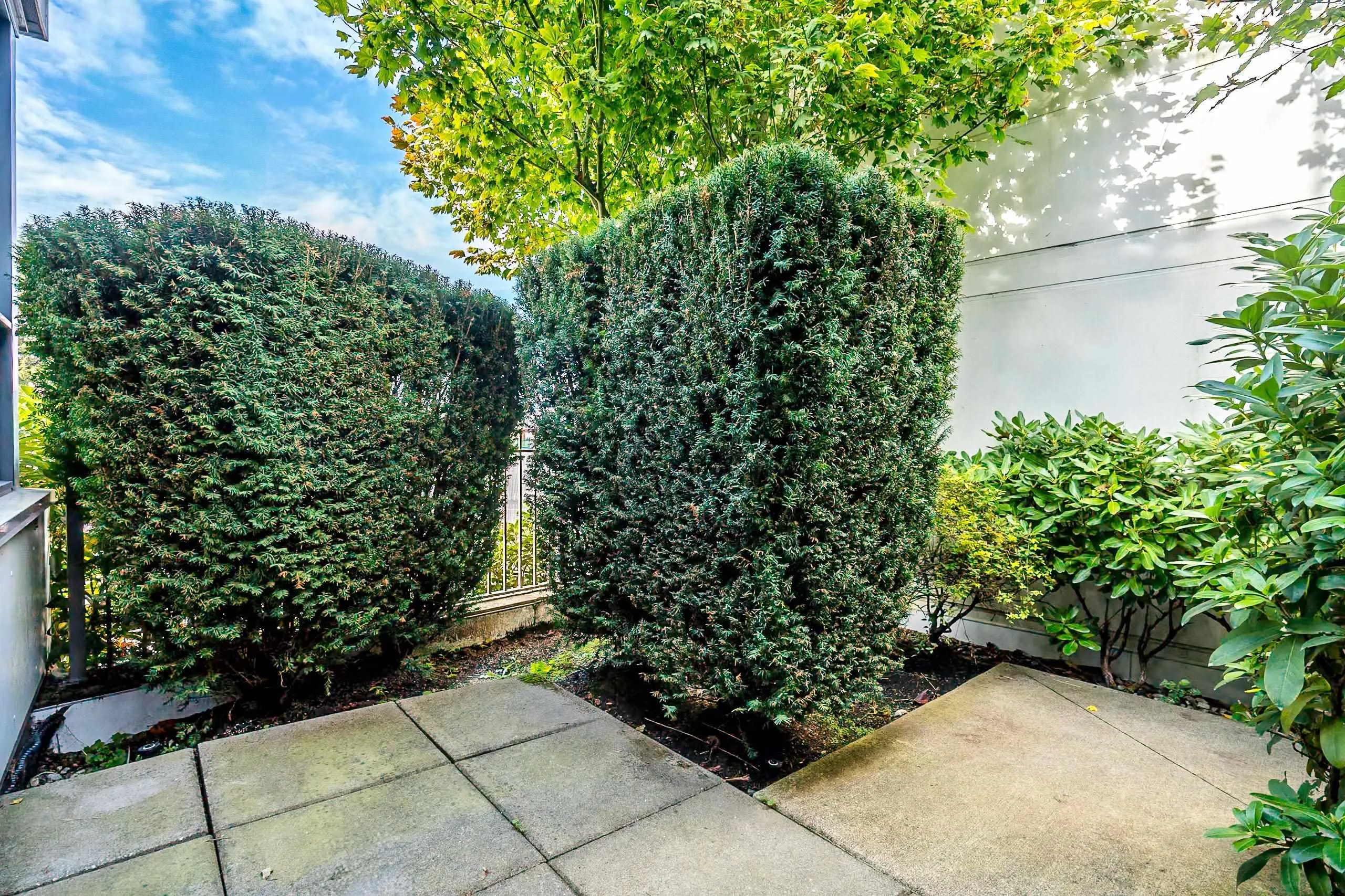 4539 Cambie Street #101