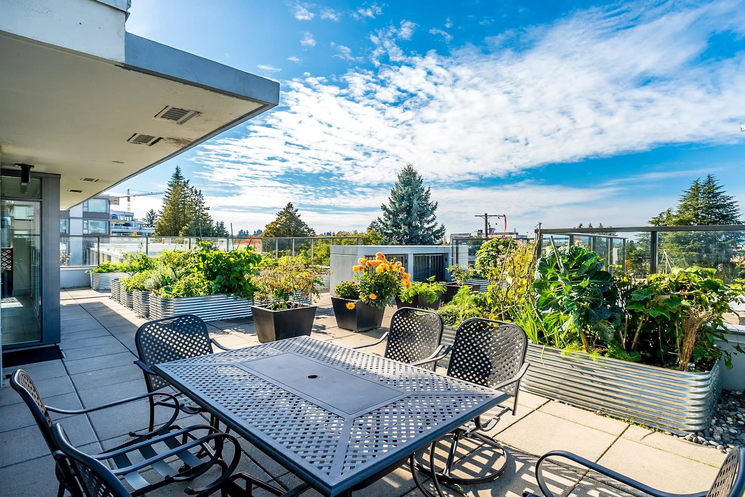 4539 Cambie Street #101