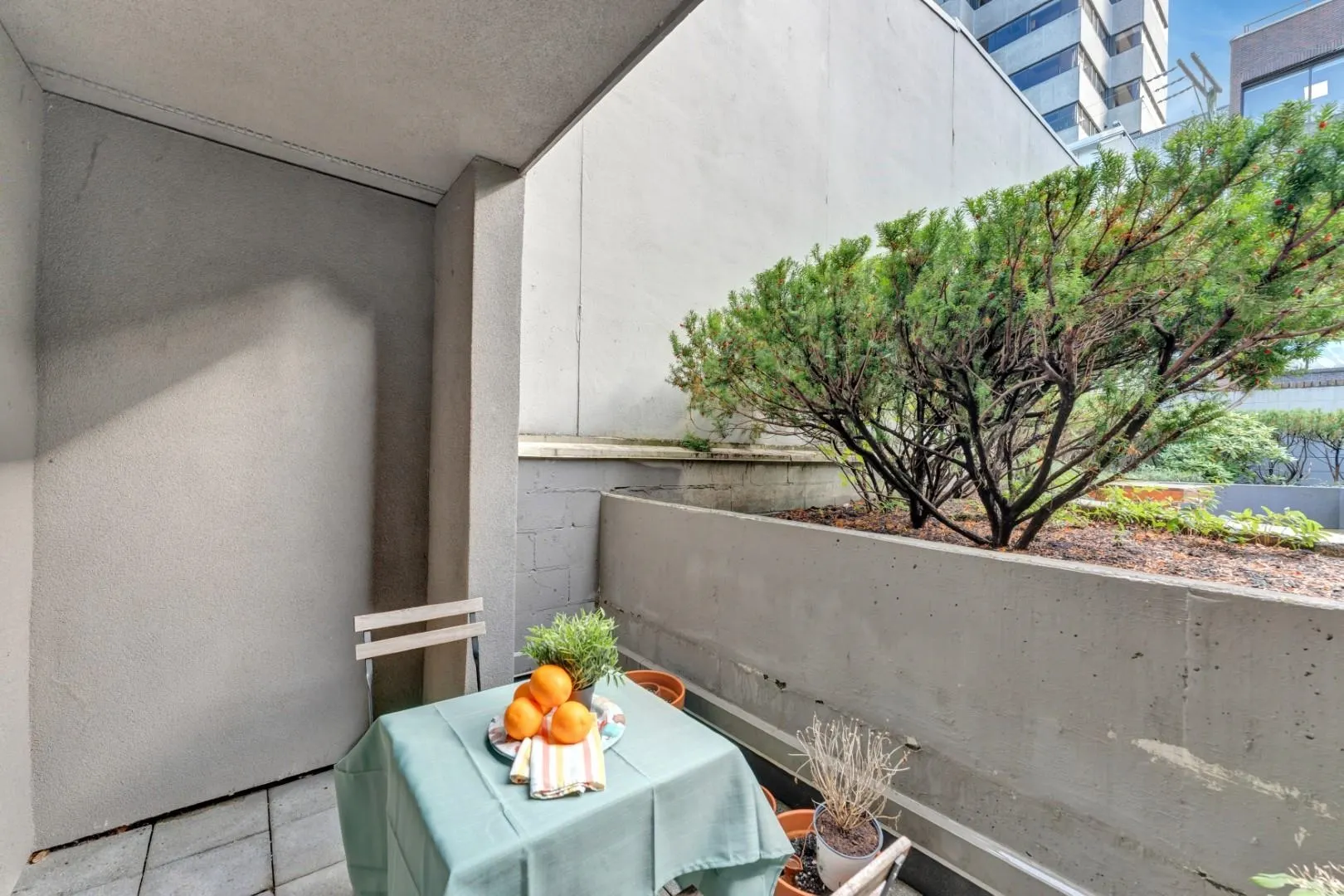 2412 Alder Street #101