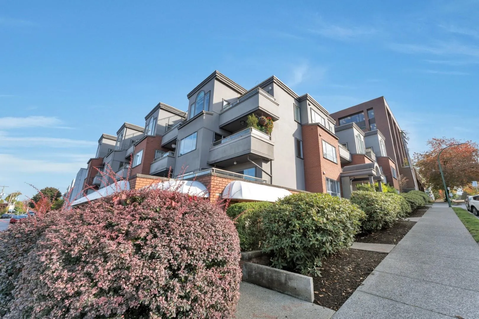 2412 Alder Street #101
