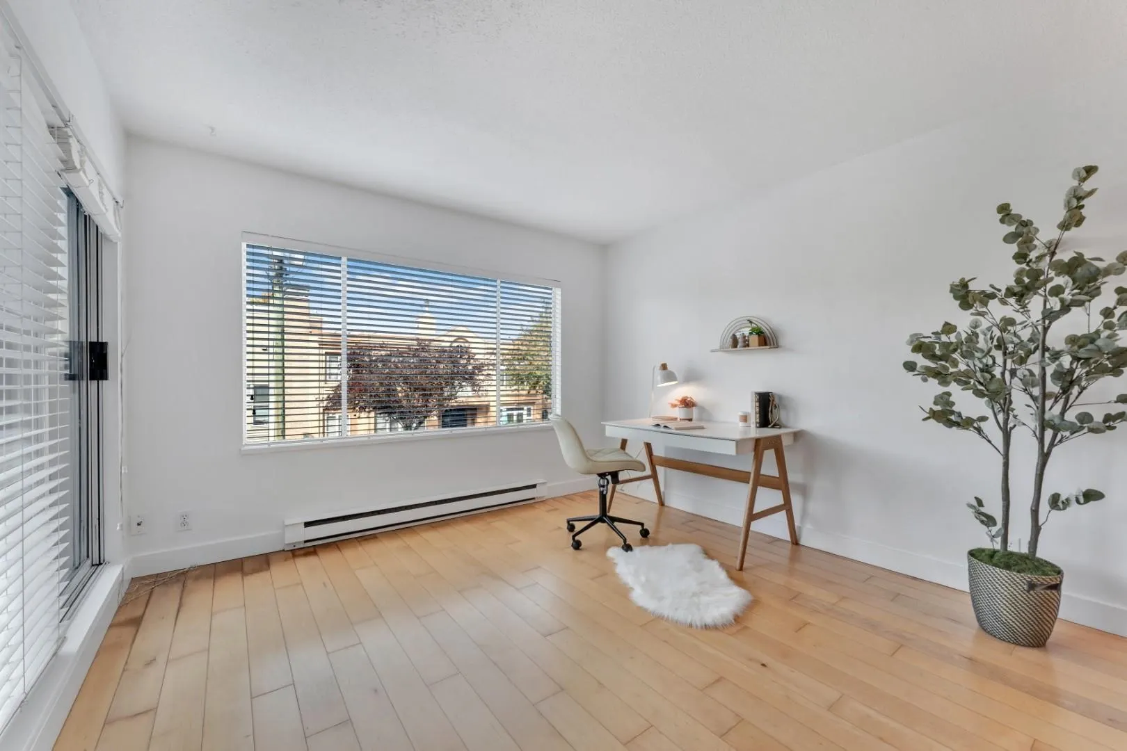 2412 Alder Street #101