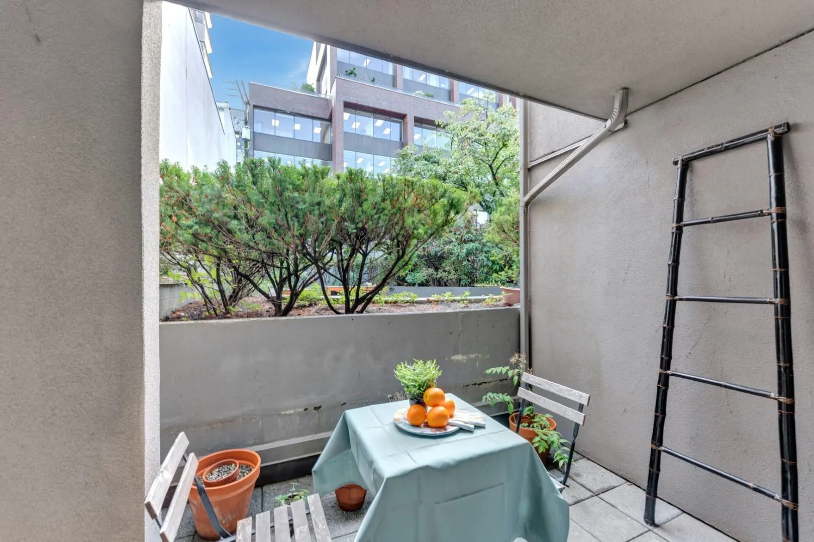 2412 Alder Street #101
