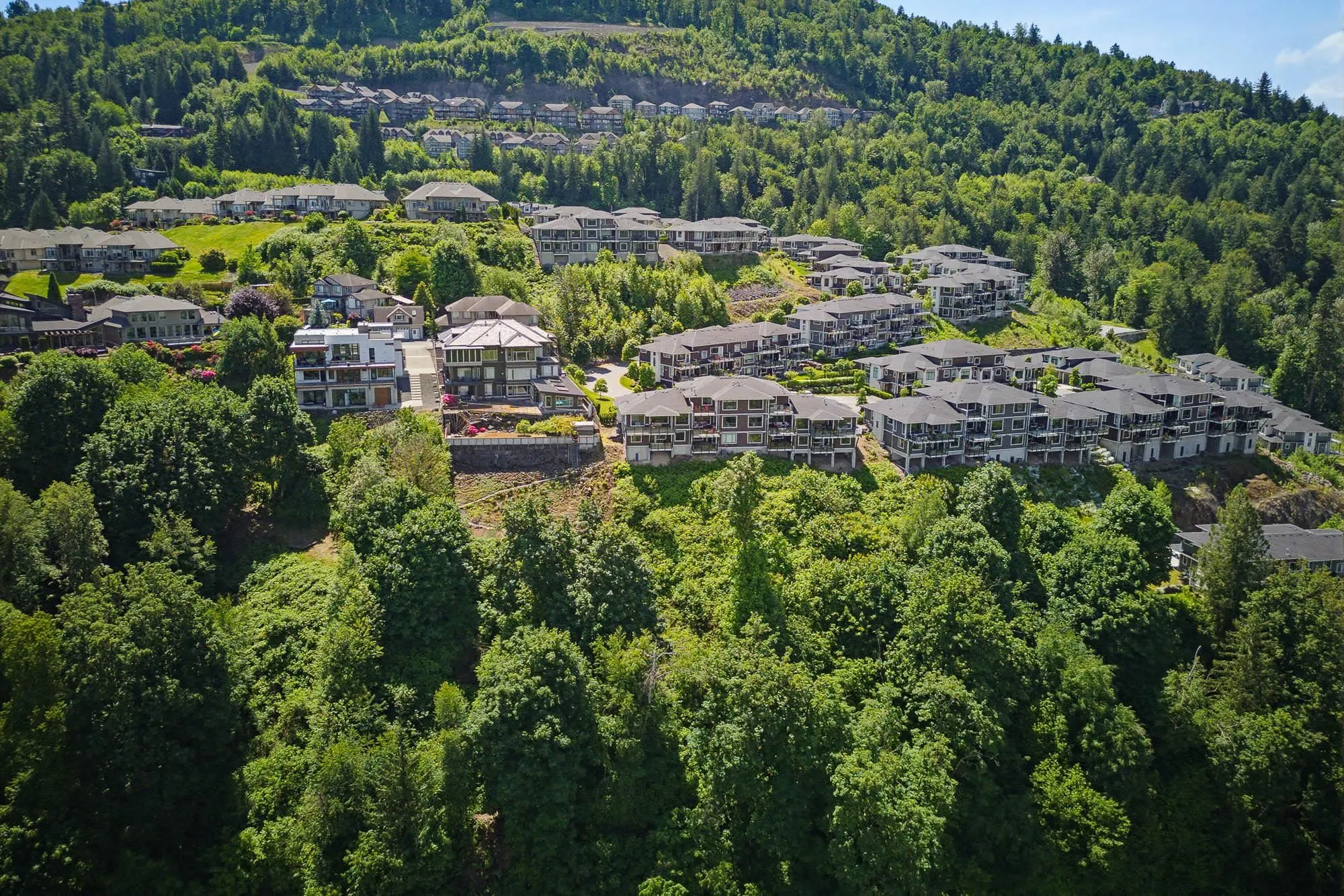 43685 Chilliwack Mountain Road #60