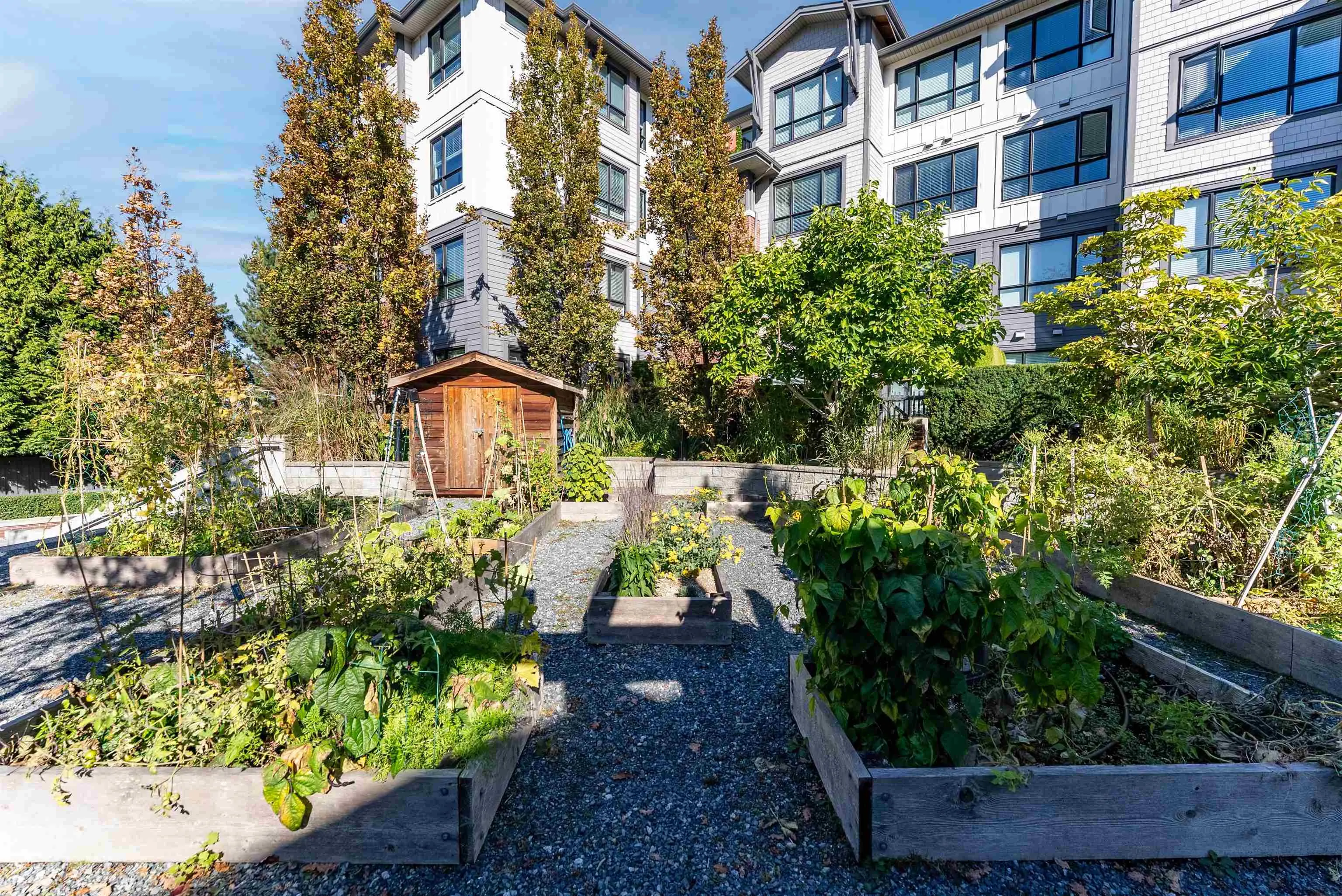 2988 151 Street #6