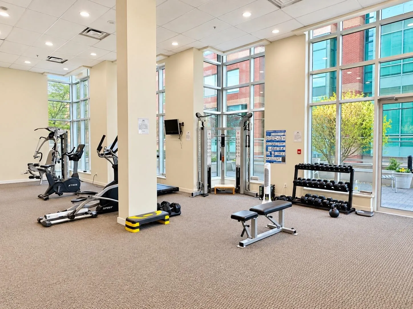 2483 Spruce Street #205