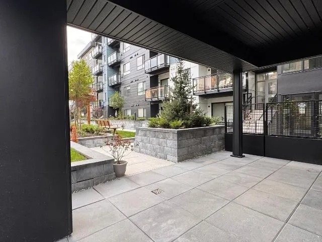 33886 Pine #112