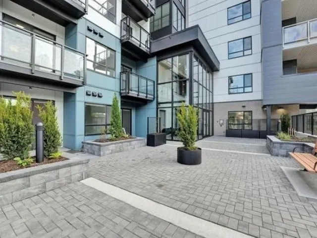 33886 Pine #112