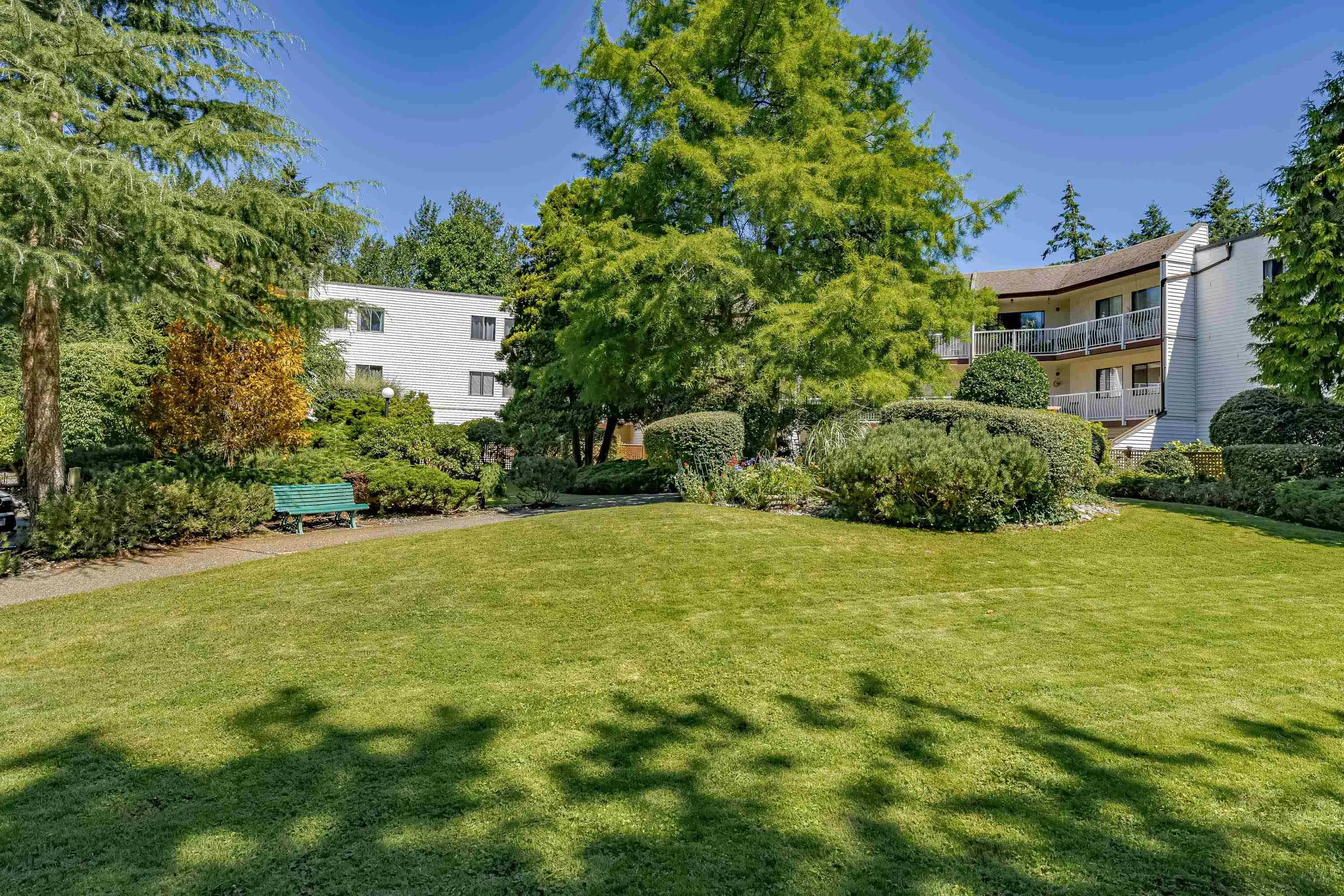 12890 17 Avenue #203