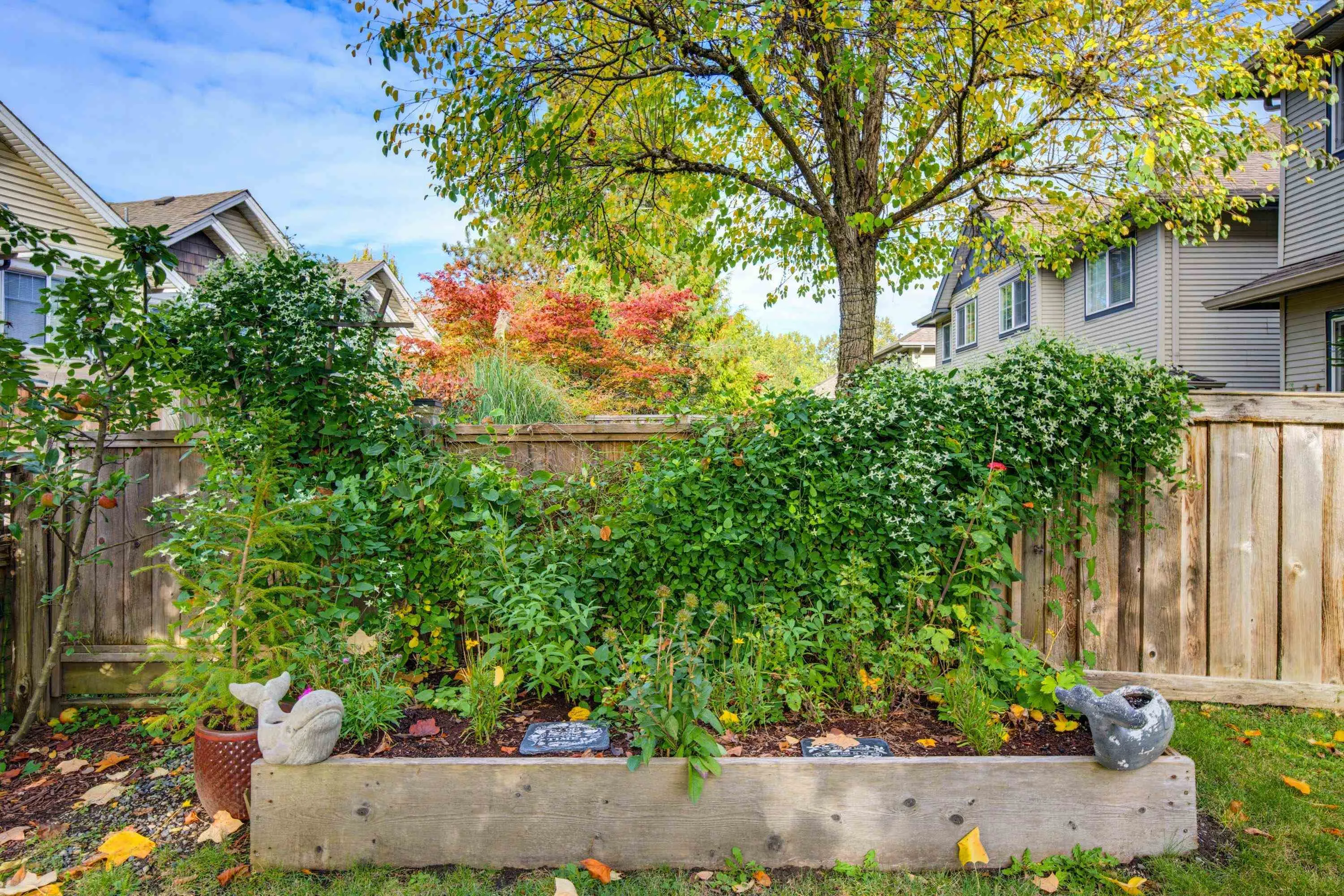 11229 232 Street #29