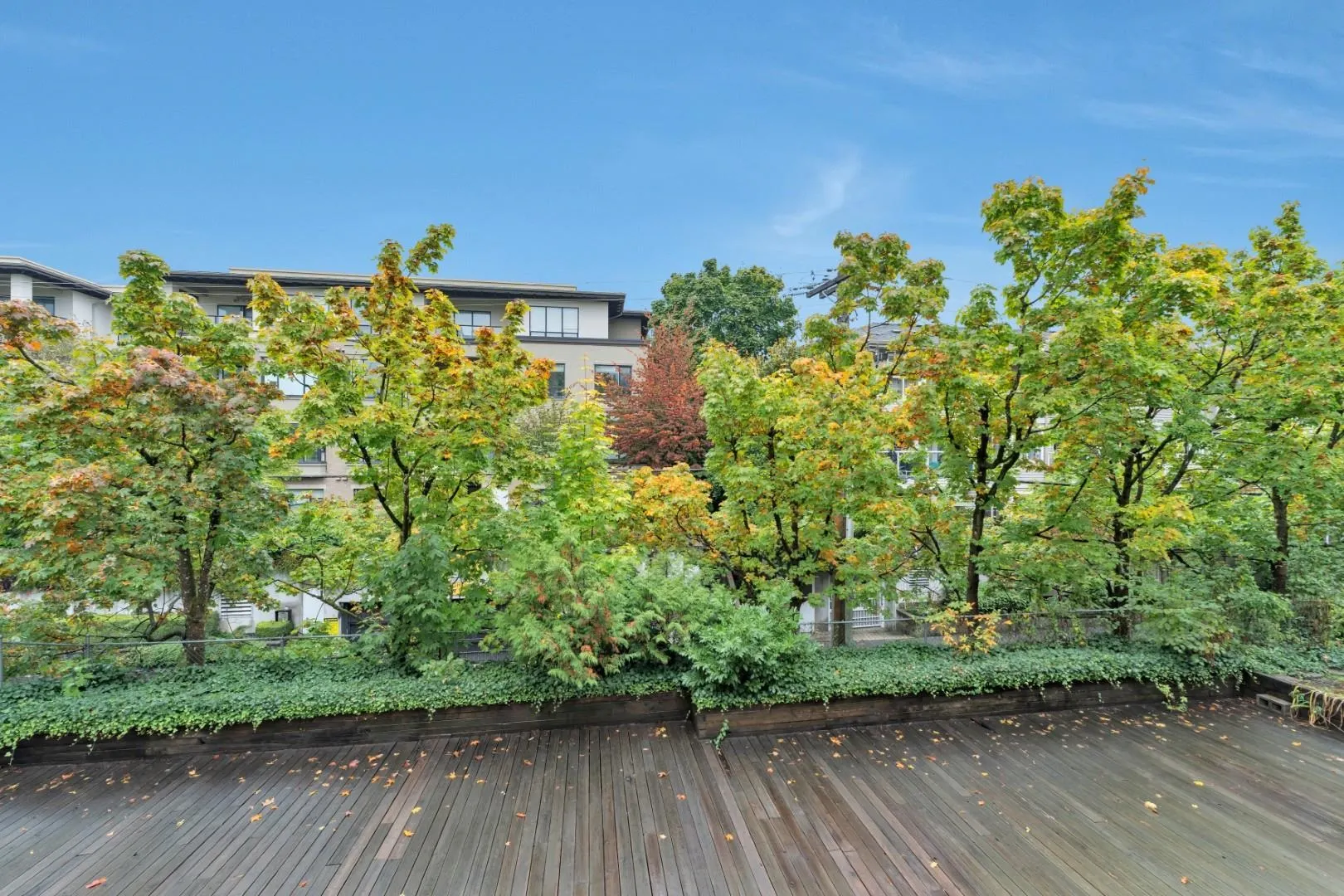 2401 Hawthorne Avenue #203