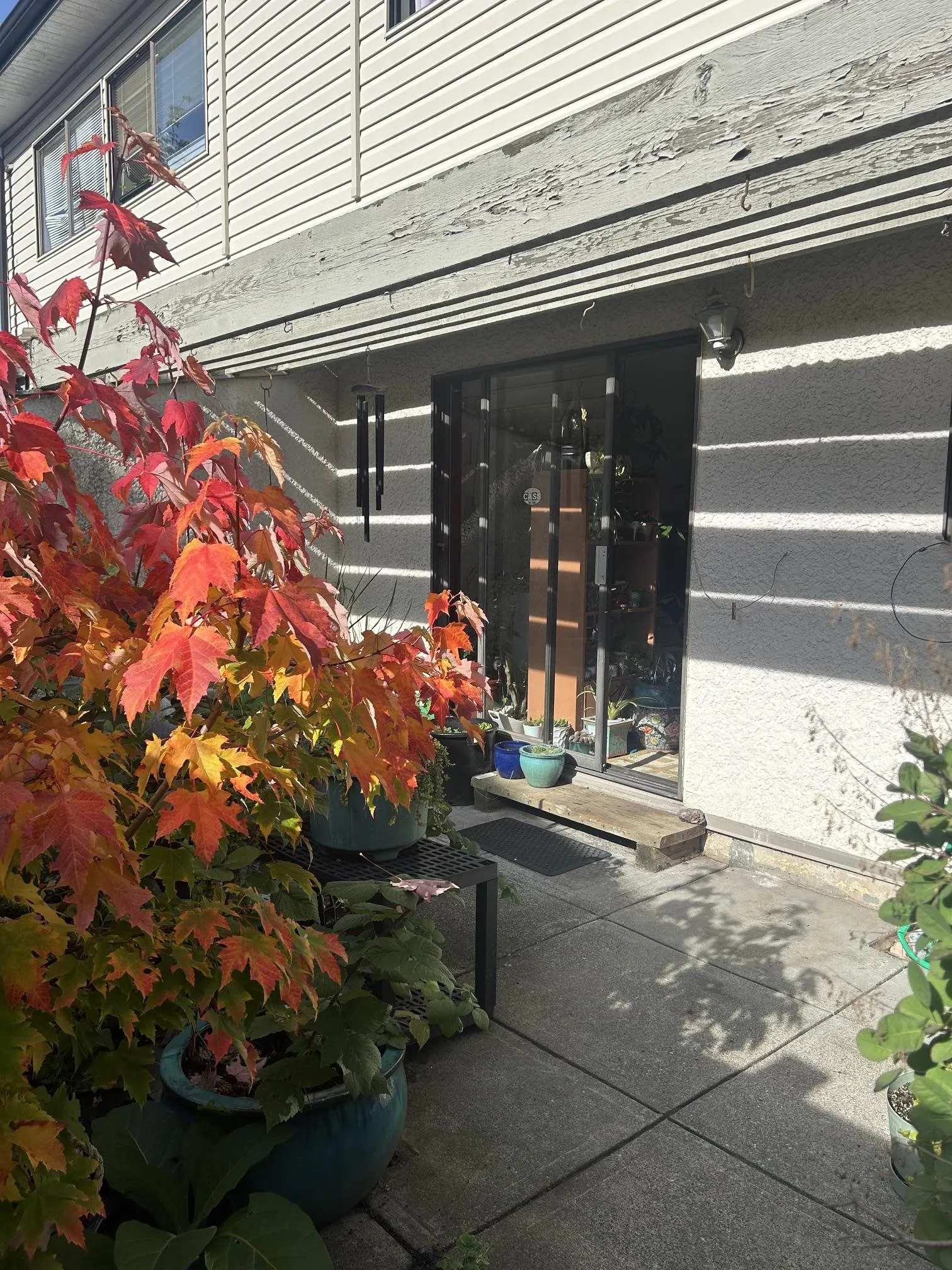 5231 204 Street #35
