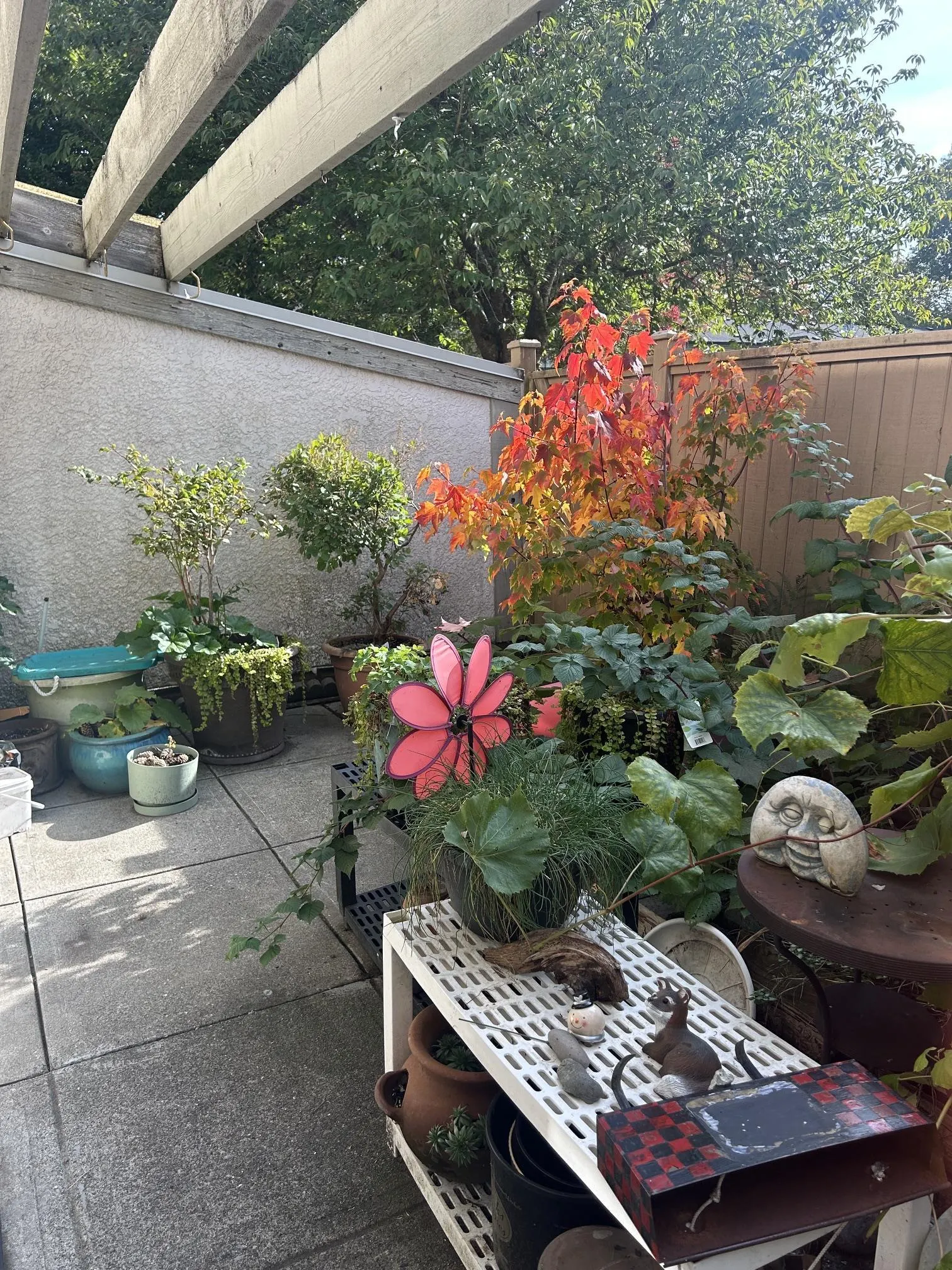5231 204 Street #35