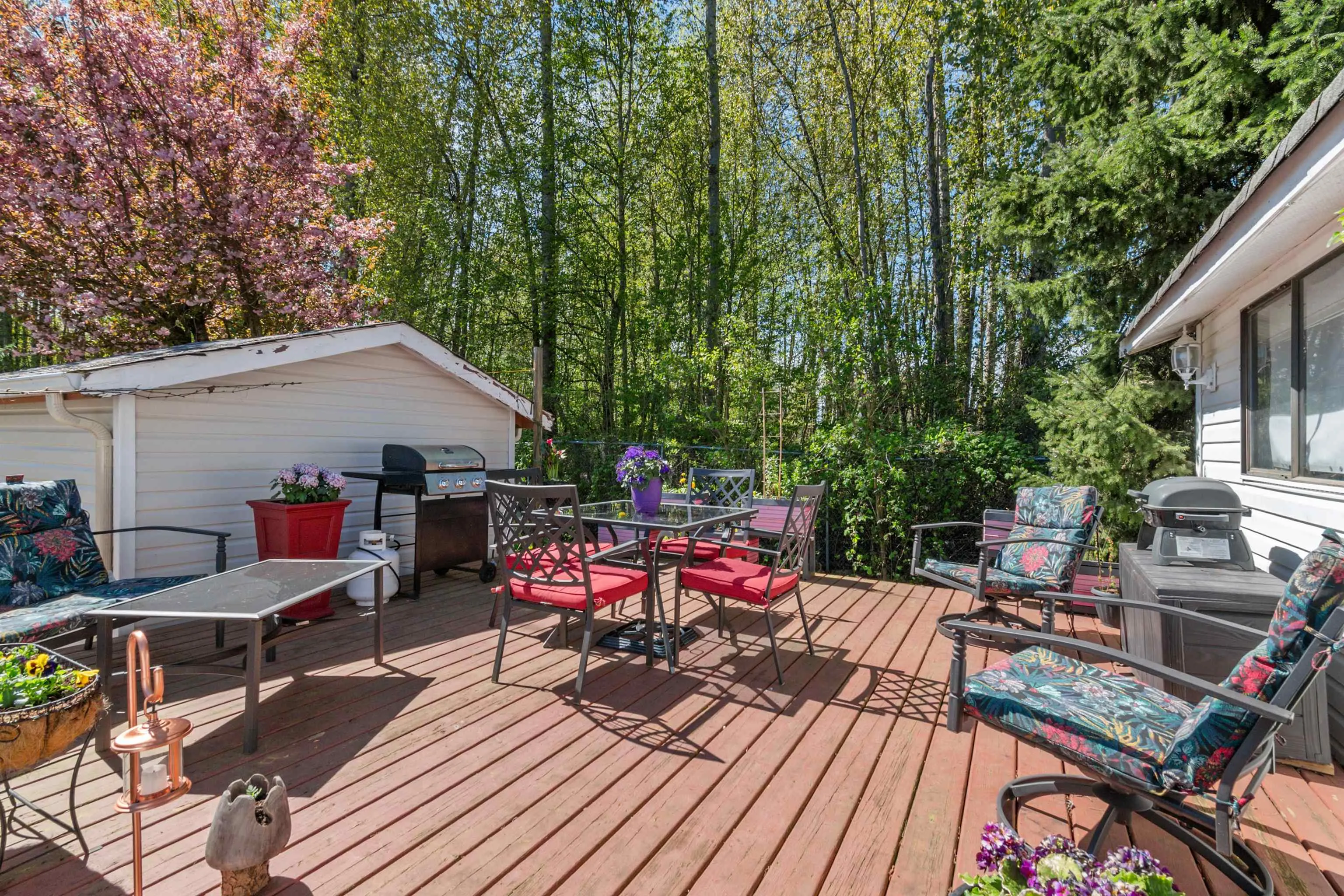 41168 Lougheed Highway #13