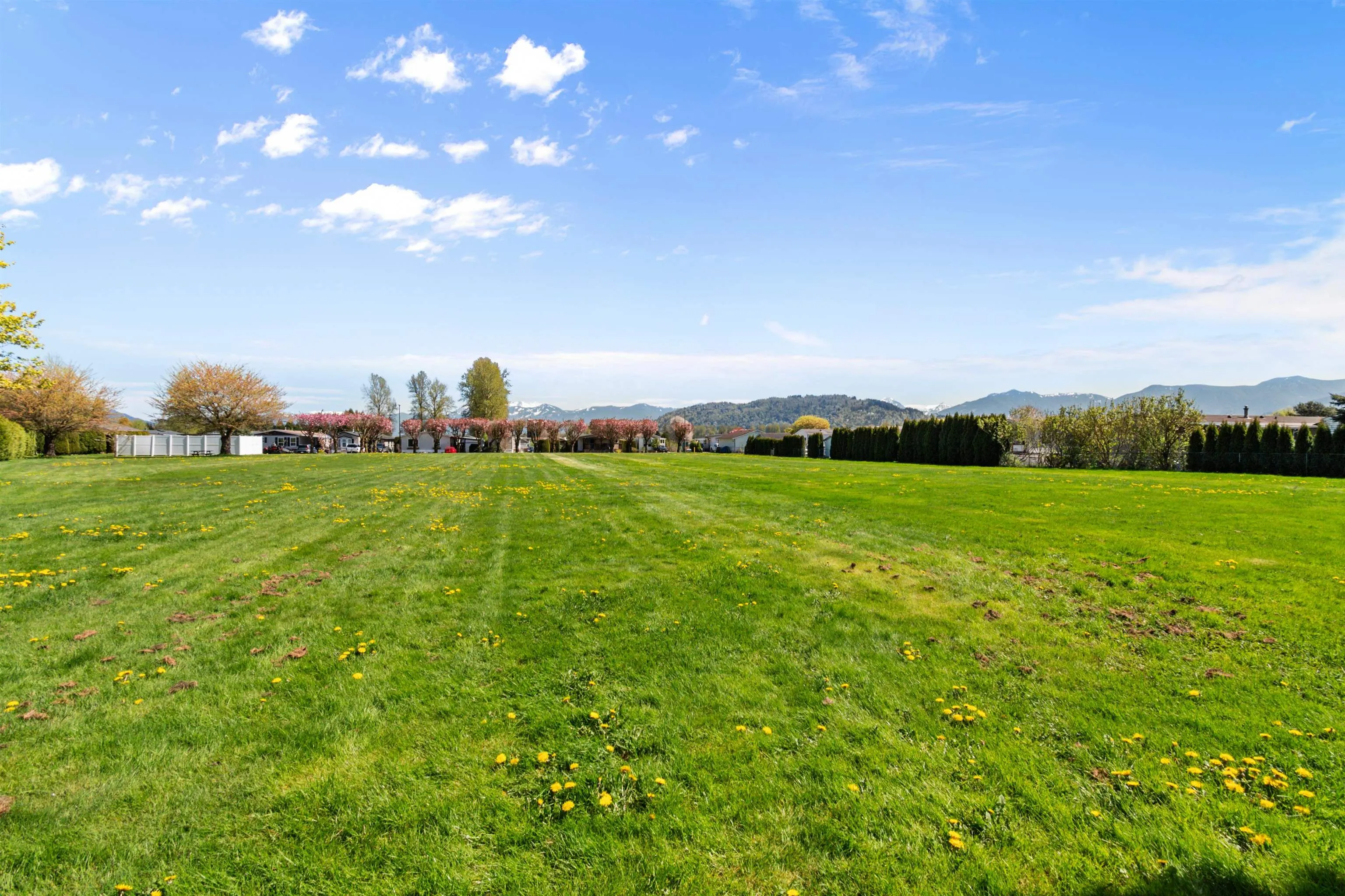 41168 Lougheed Highway #13
