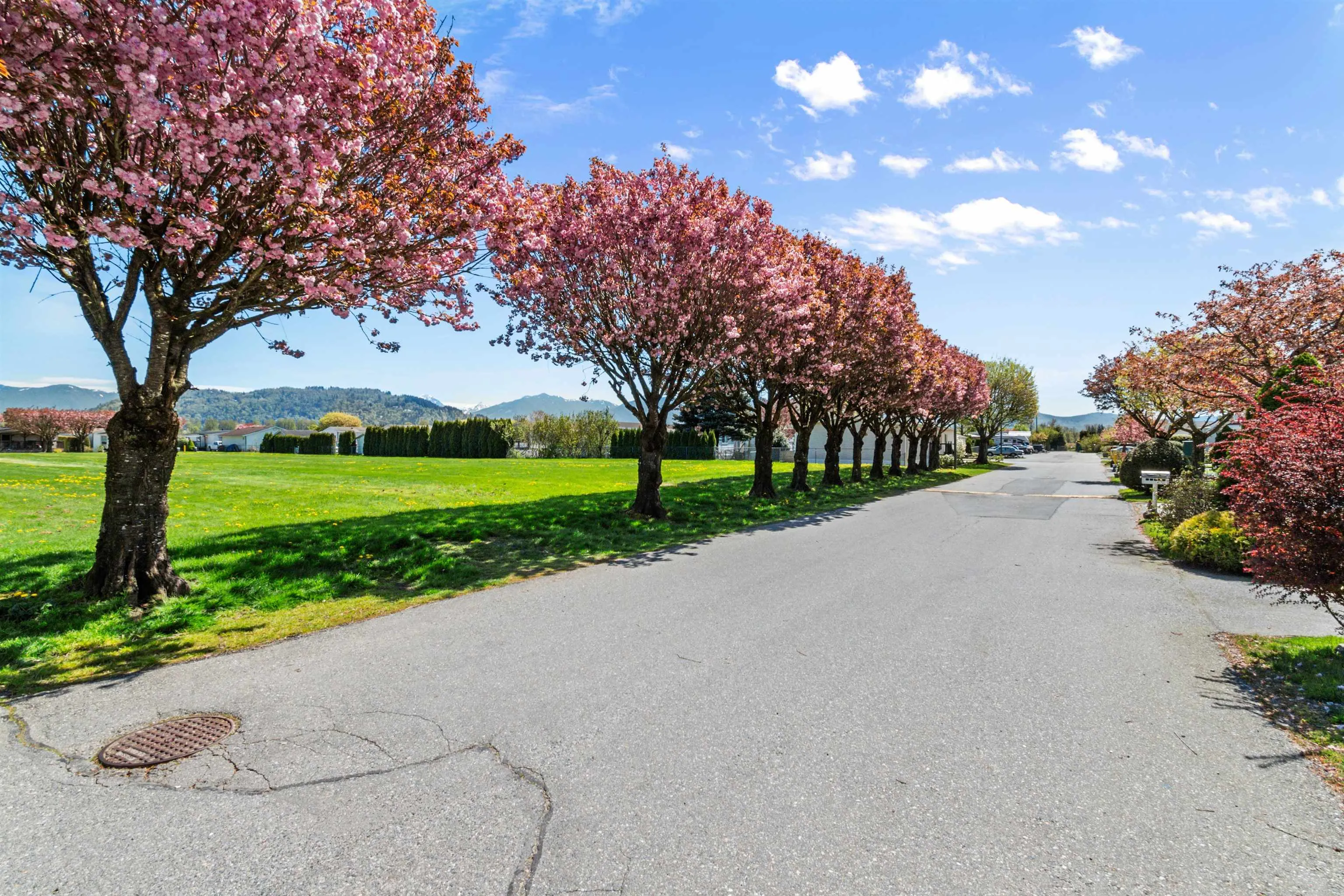 41168 Lougheed Highway #13