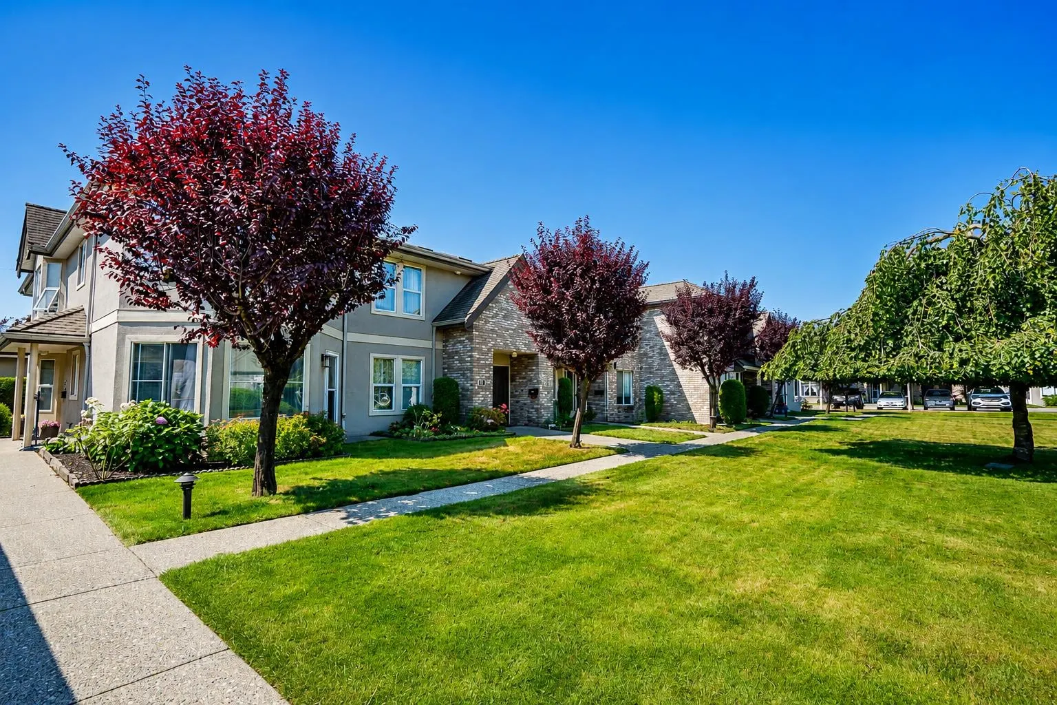 8533 Broadway Street #36