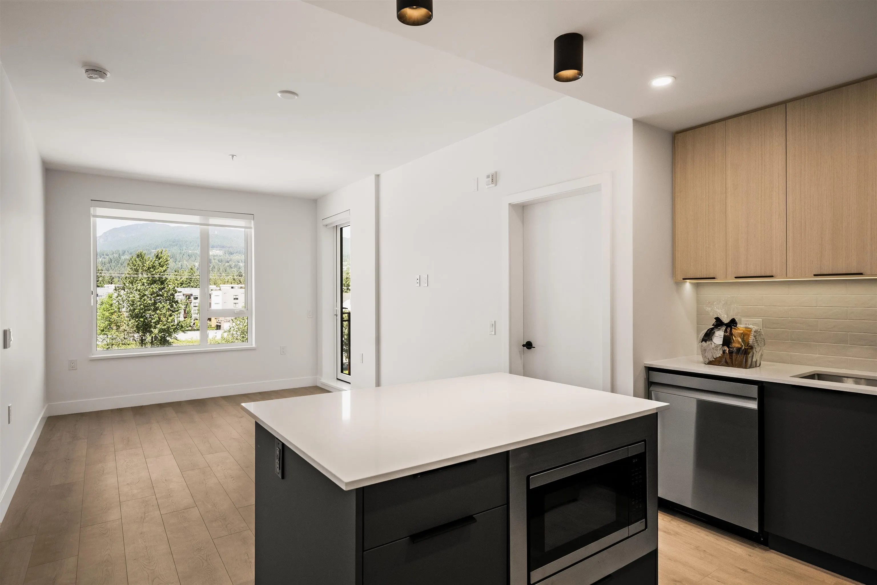 111 Buller Street #410