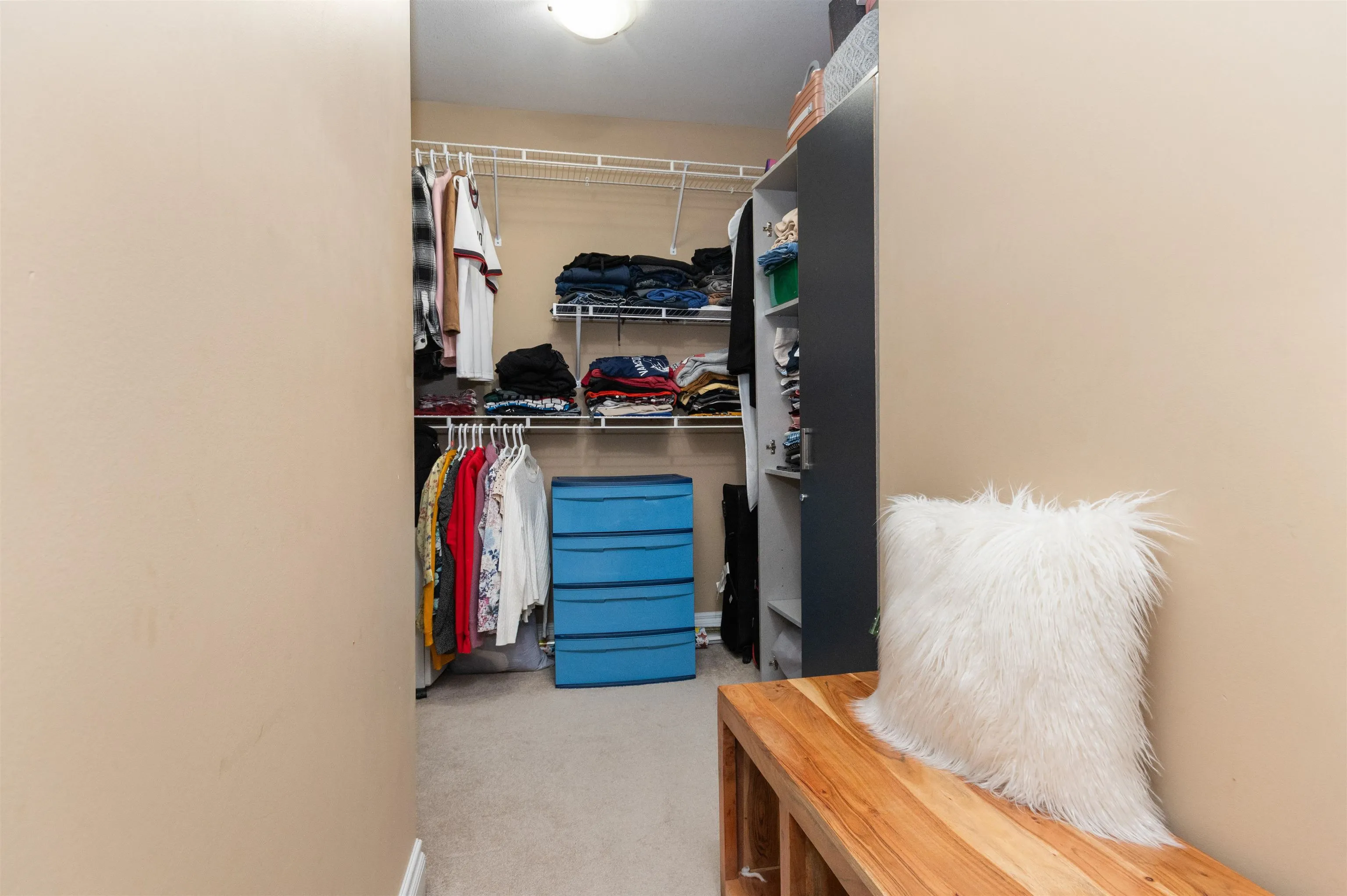 6556 Lavender Place