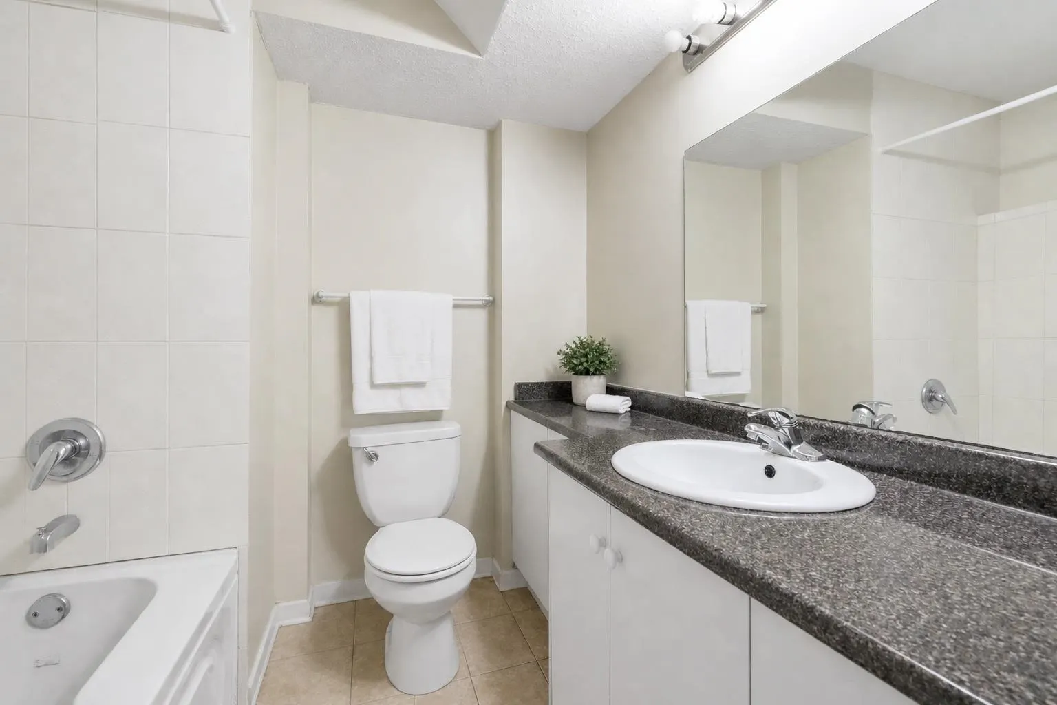 6556 Lavender Place