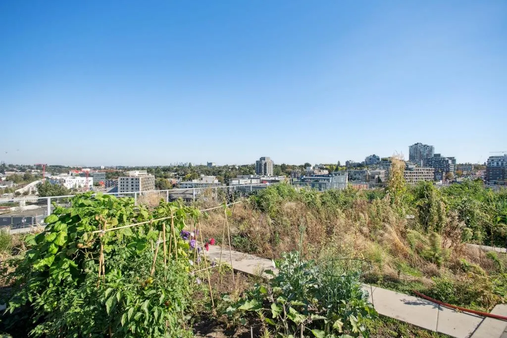 180 E 2nd Avenue #920