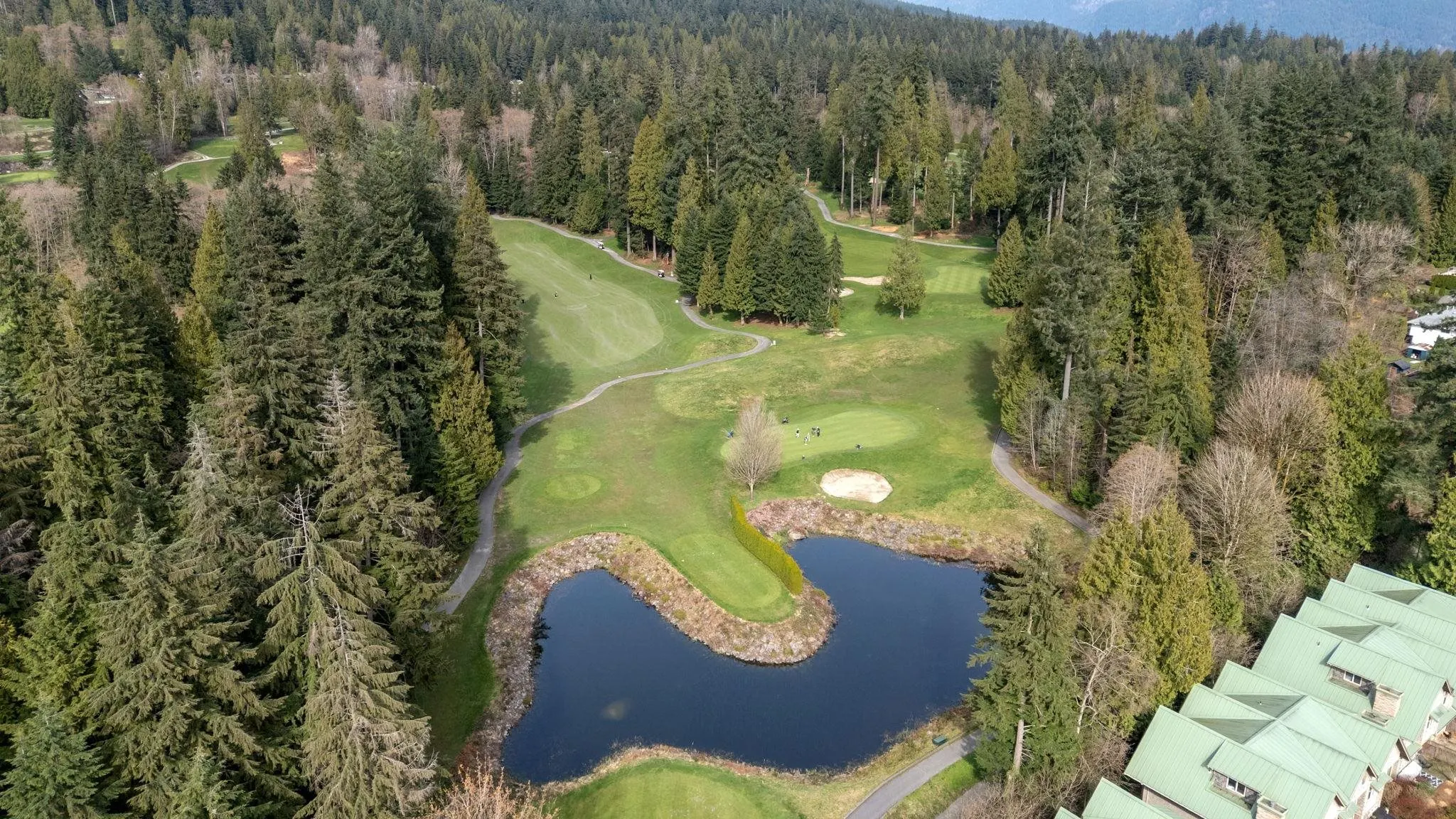 3318 Mt Seymour Parkway