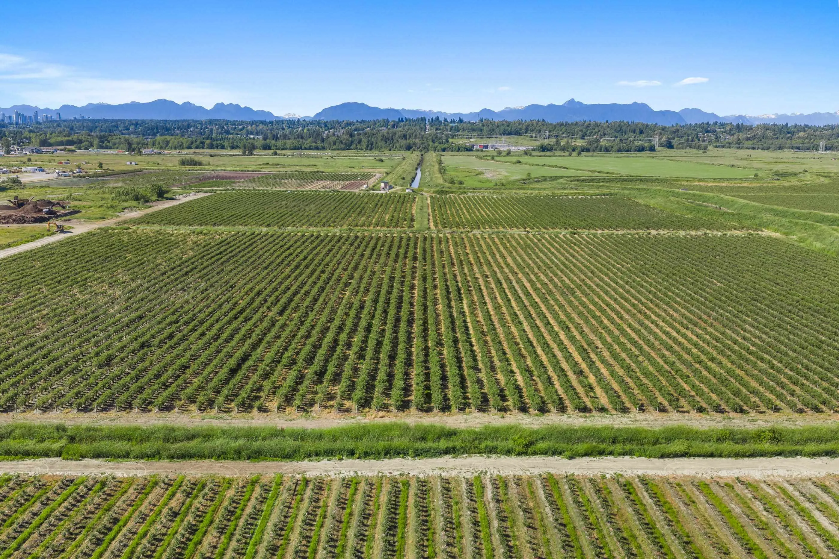 15683 64 Avenue