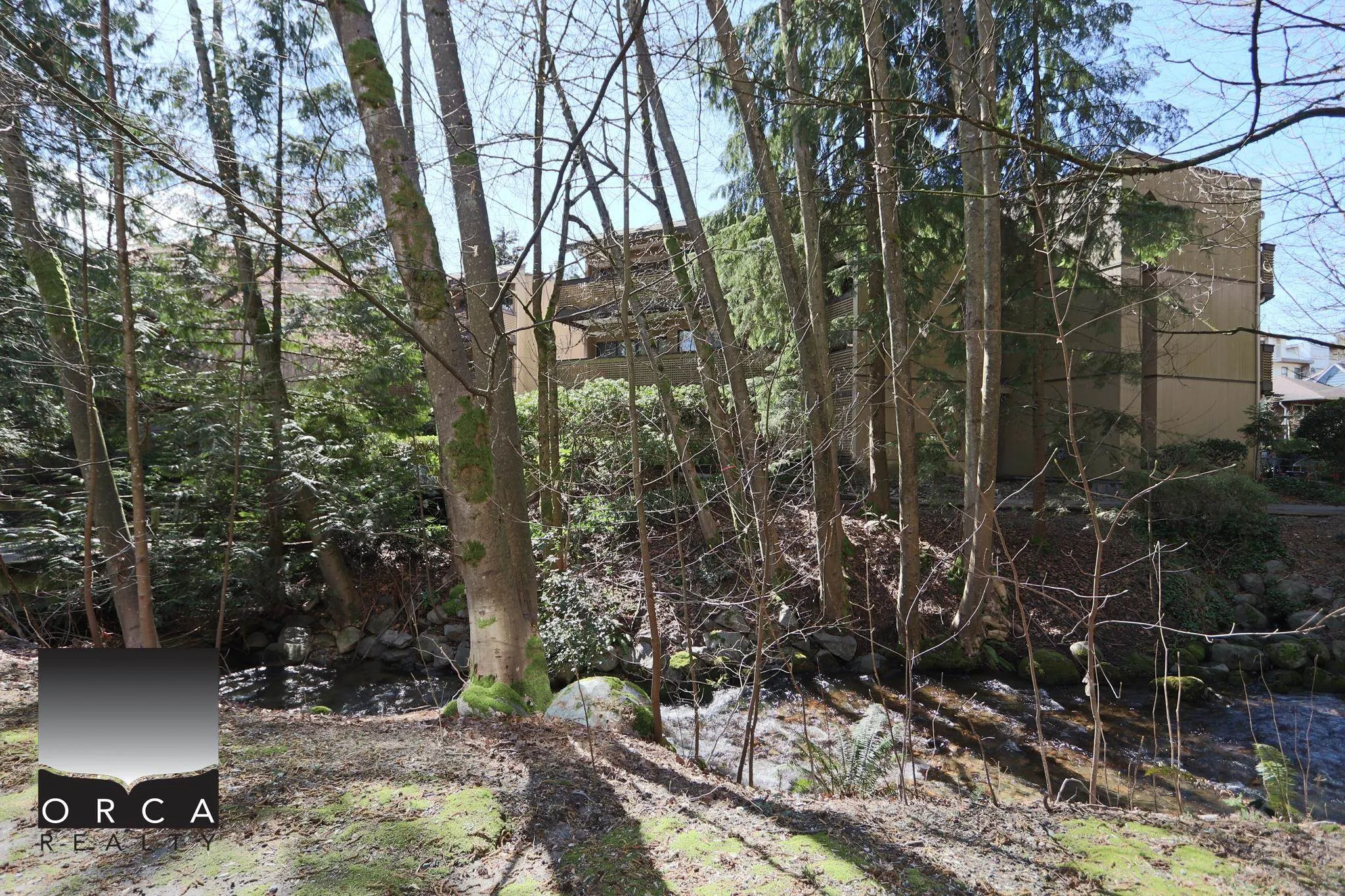 3191 Mountain Highway #202