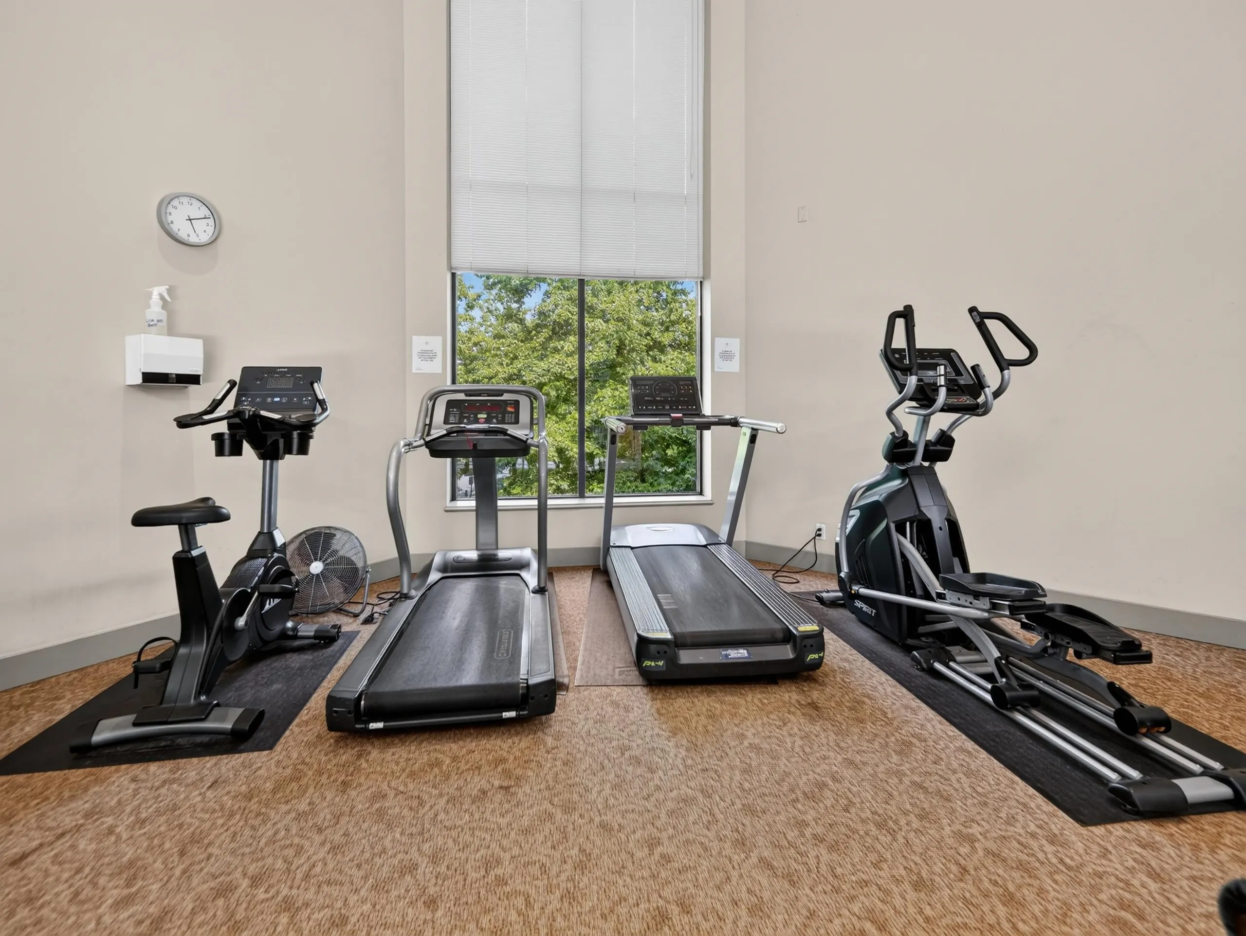 11 E Royal Avenue #1101