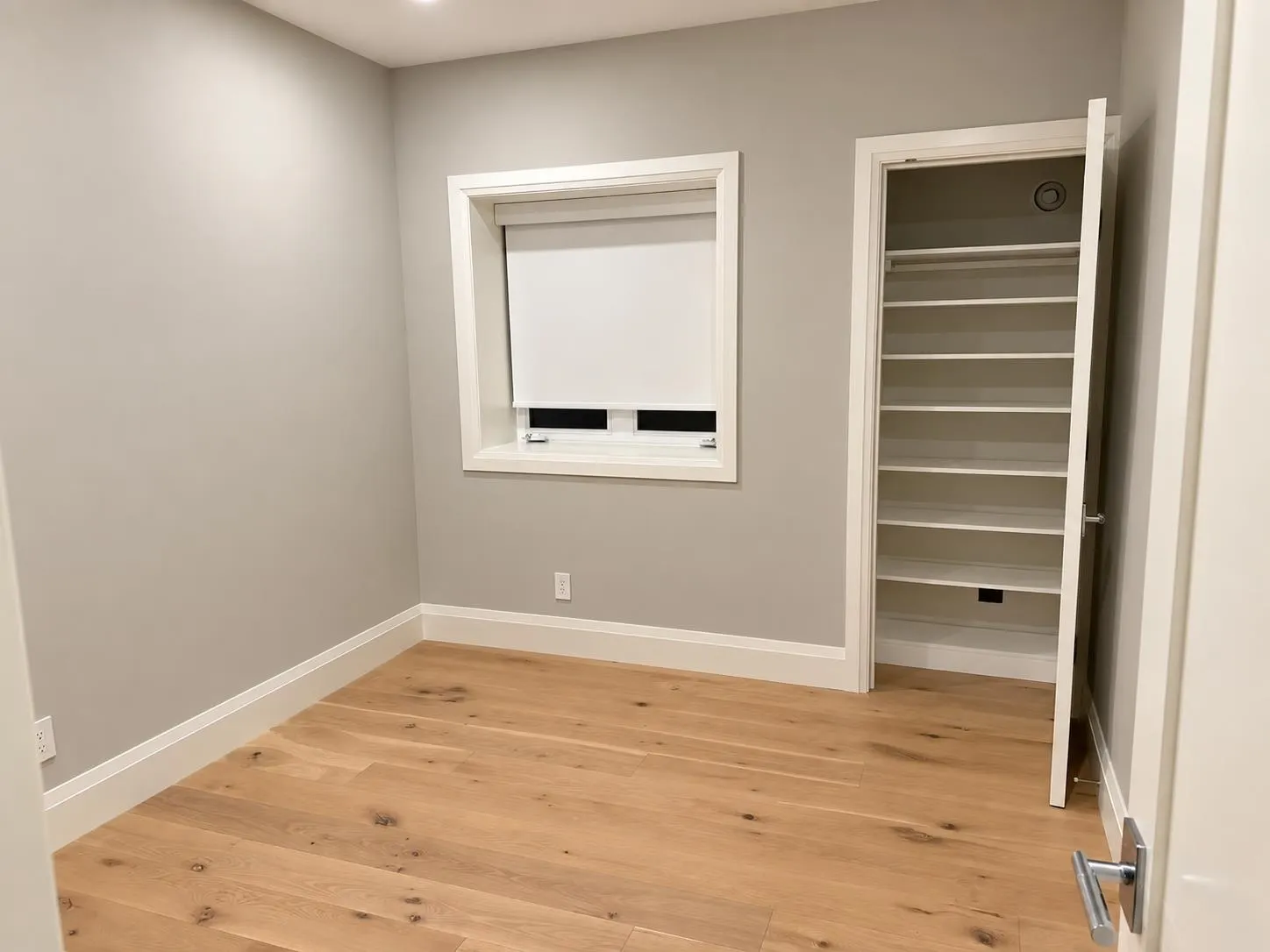 848 Roslyn Boulevard #basement